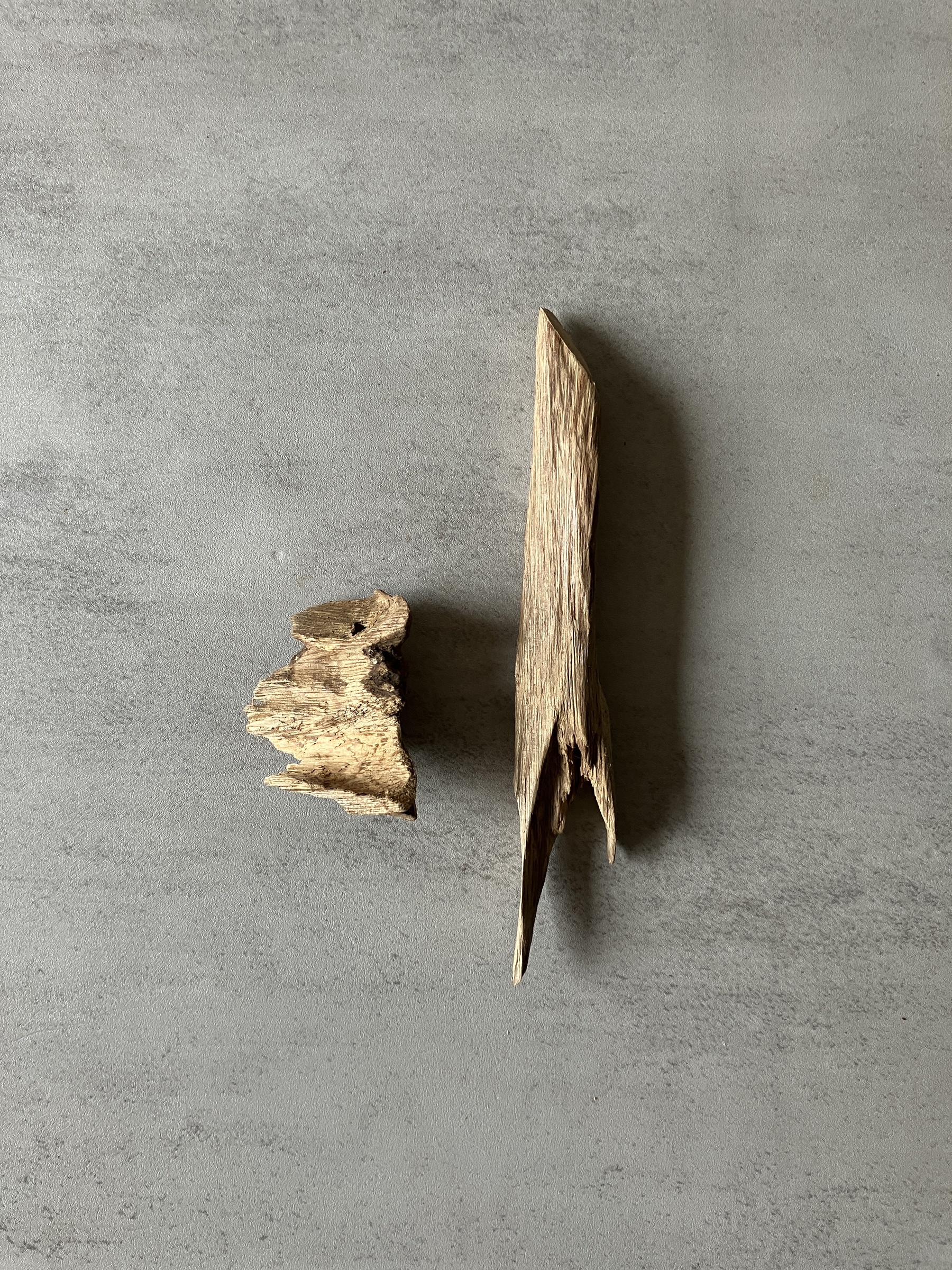 image_6D59A9F1-773C-4C88-B51E-F74B0E1B6462_1774423361