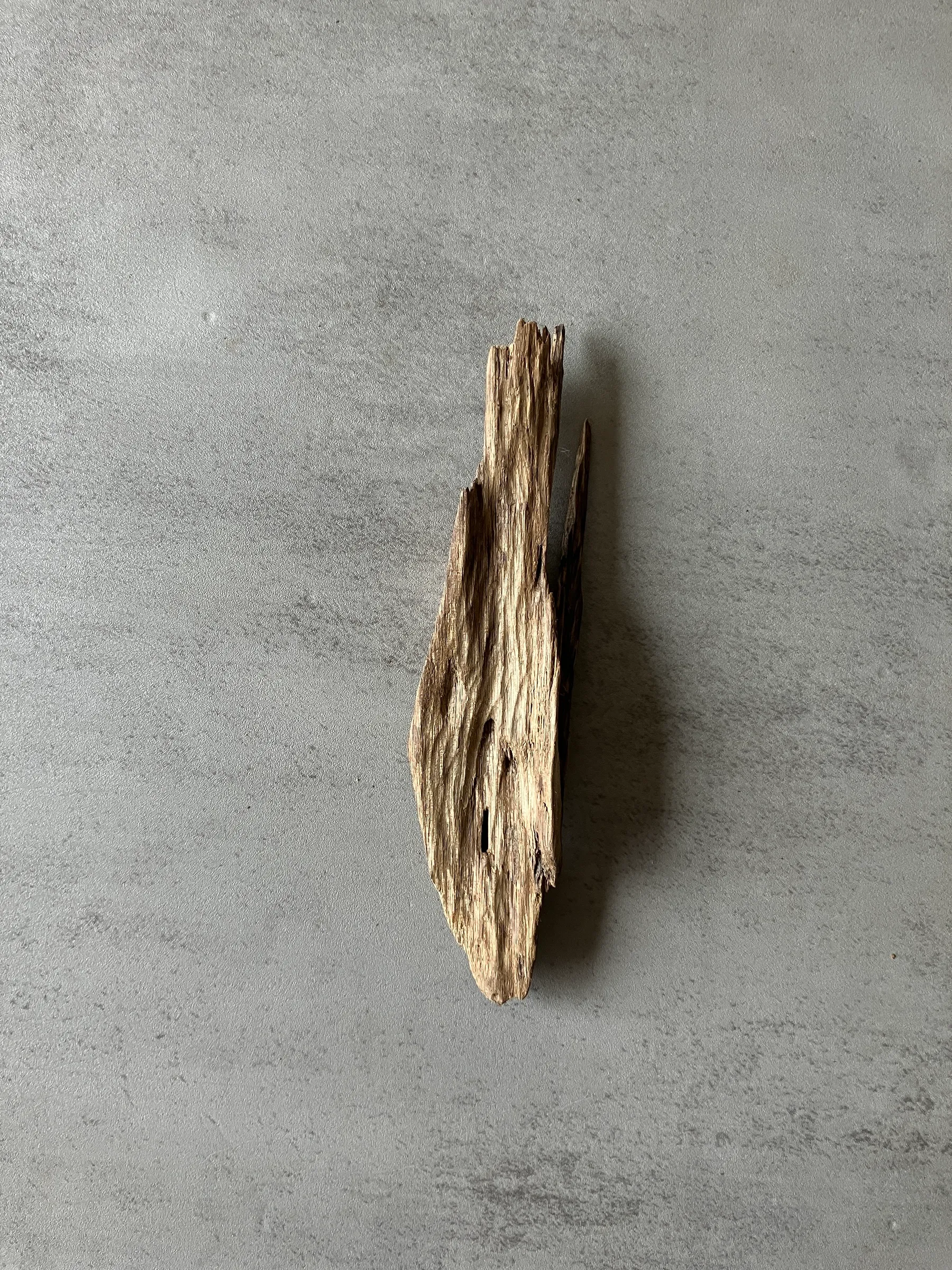 image_4064856C-F300-4558-9E59-FE80AE52E5E1_1774423467