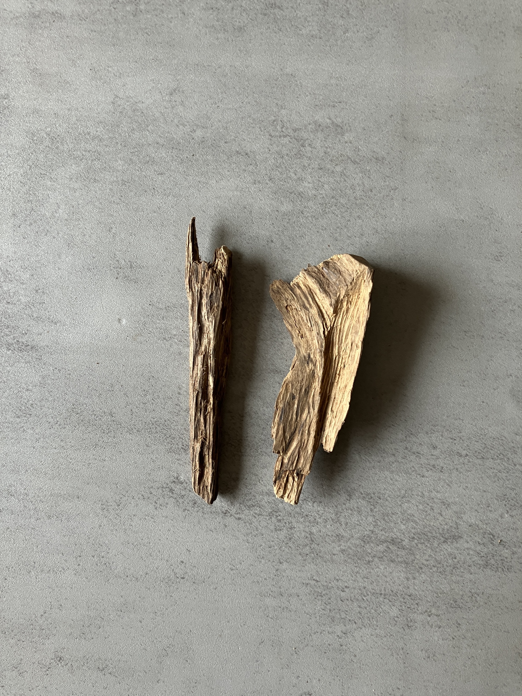 image_0091D596-567D-4AC2-8034-38C8378C504B_1774423610