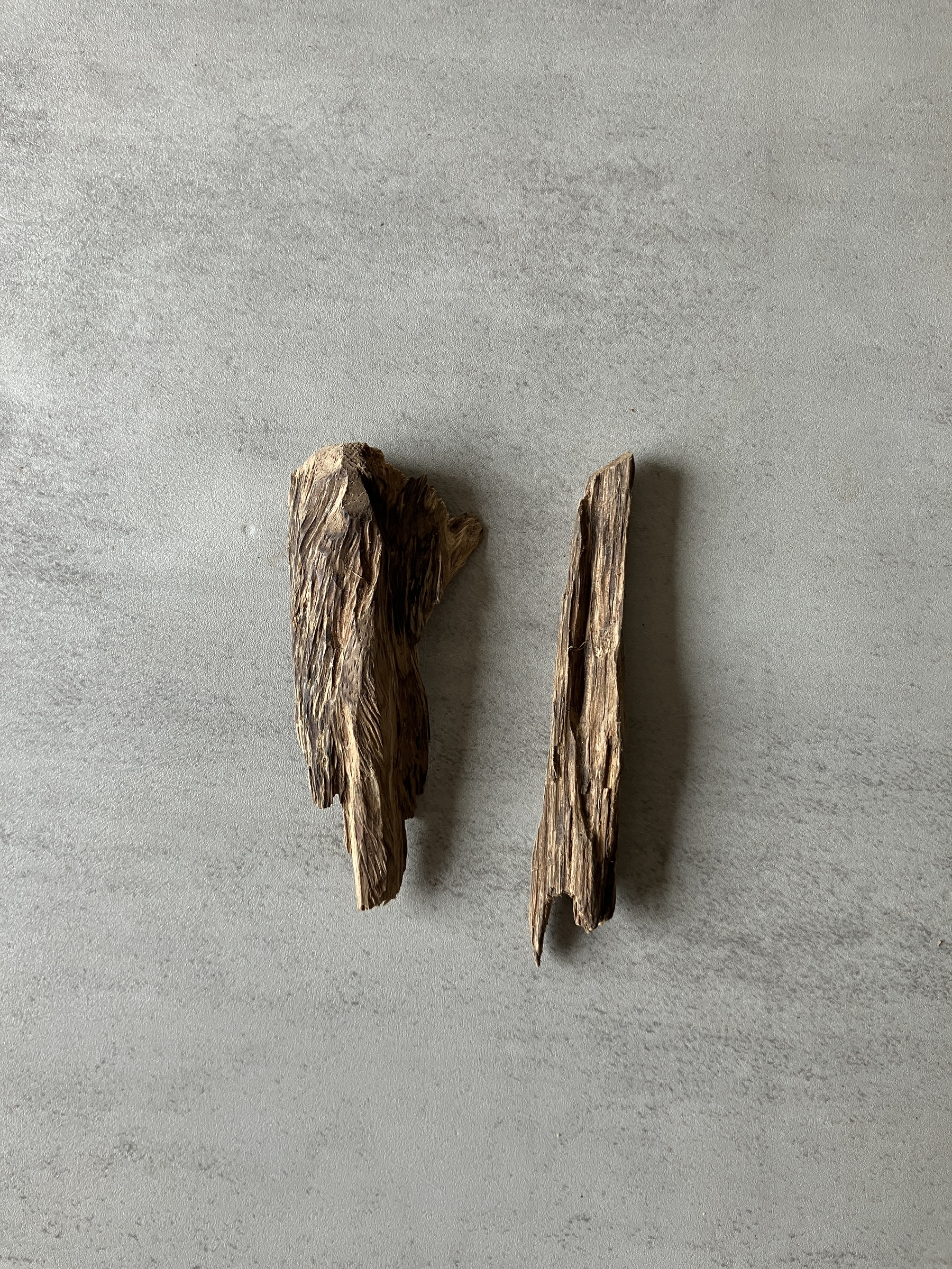 image_060CC060-BB91-4745-BA0C-8172821288AE_1774423610