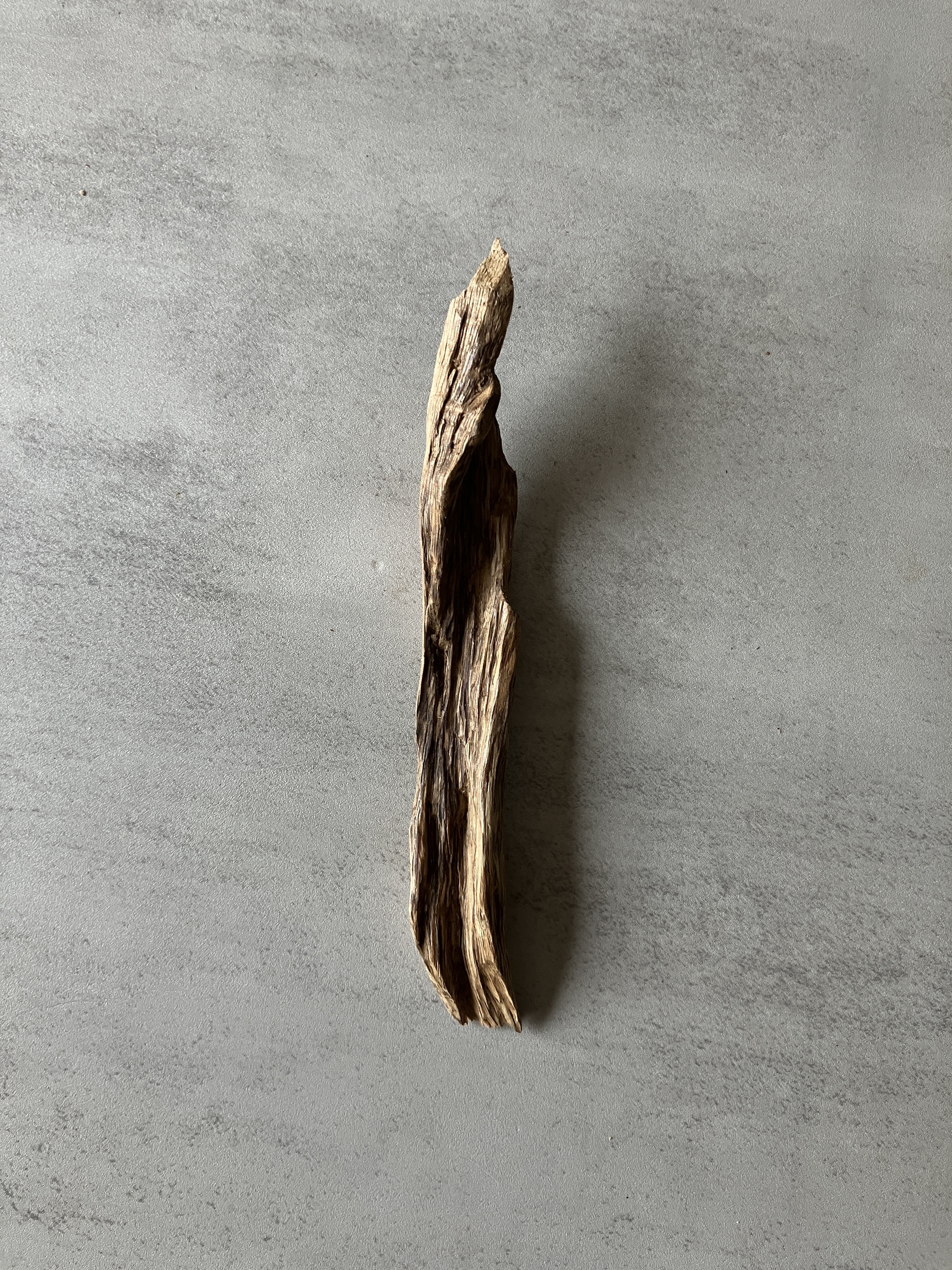 image_C4F05DDD-4DC3-429E-8DF2-1AC78FE94CE8_1774423704