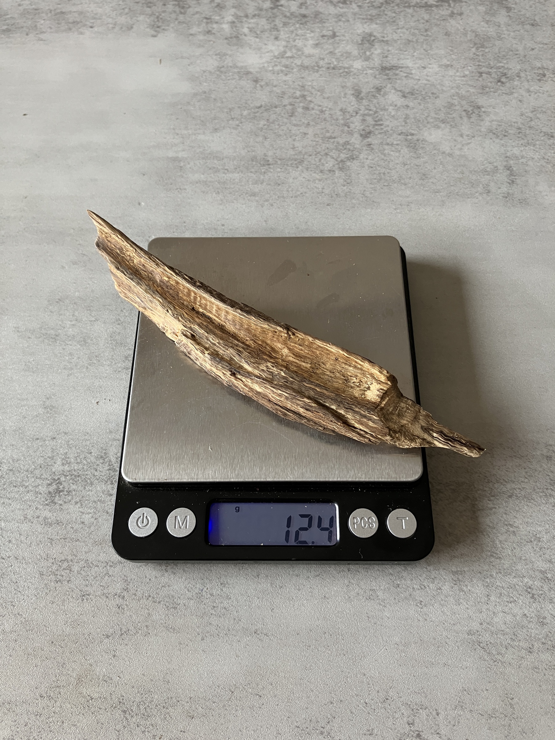 image_8BEED516-AA65-4606-84C3-89FDB85E6DAD_1774423845