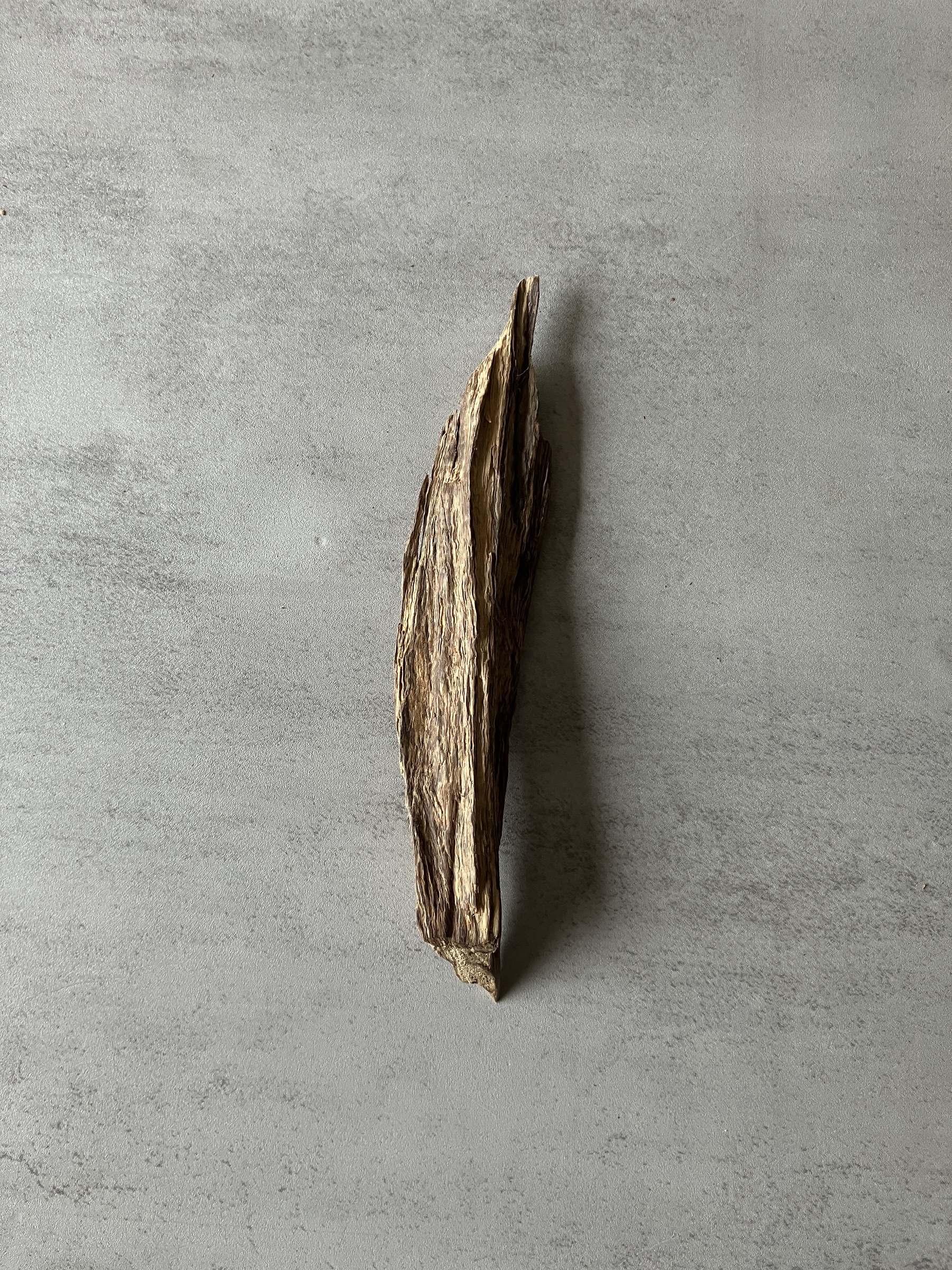 image_F77A1083-2FA1-4A06-9BC1-DAE40E3513BE_1774423845