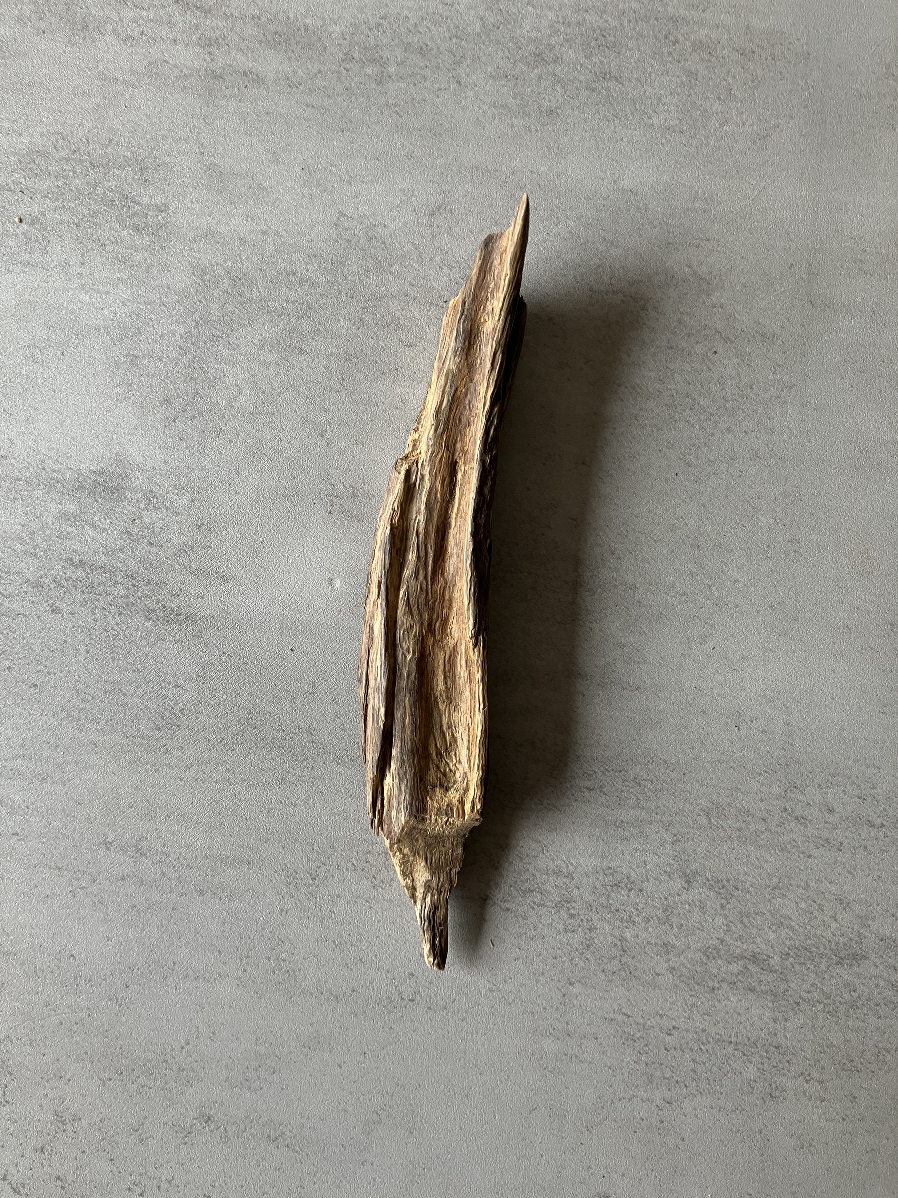 image_EFC78FC9-D71B-4C3F-8330-35784C58EBB6_1774423845