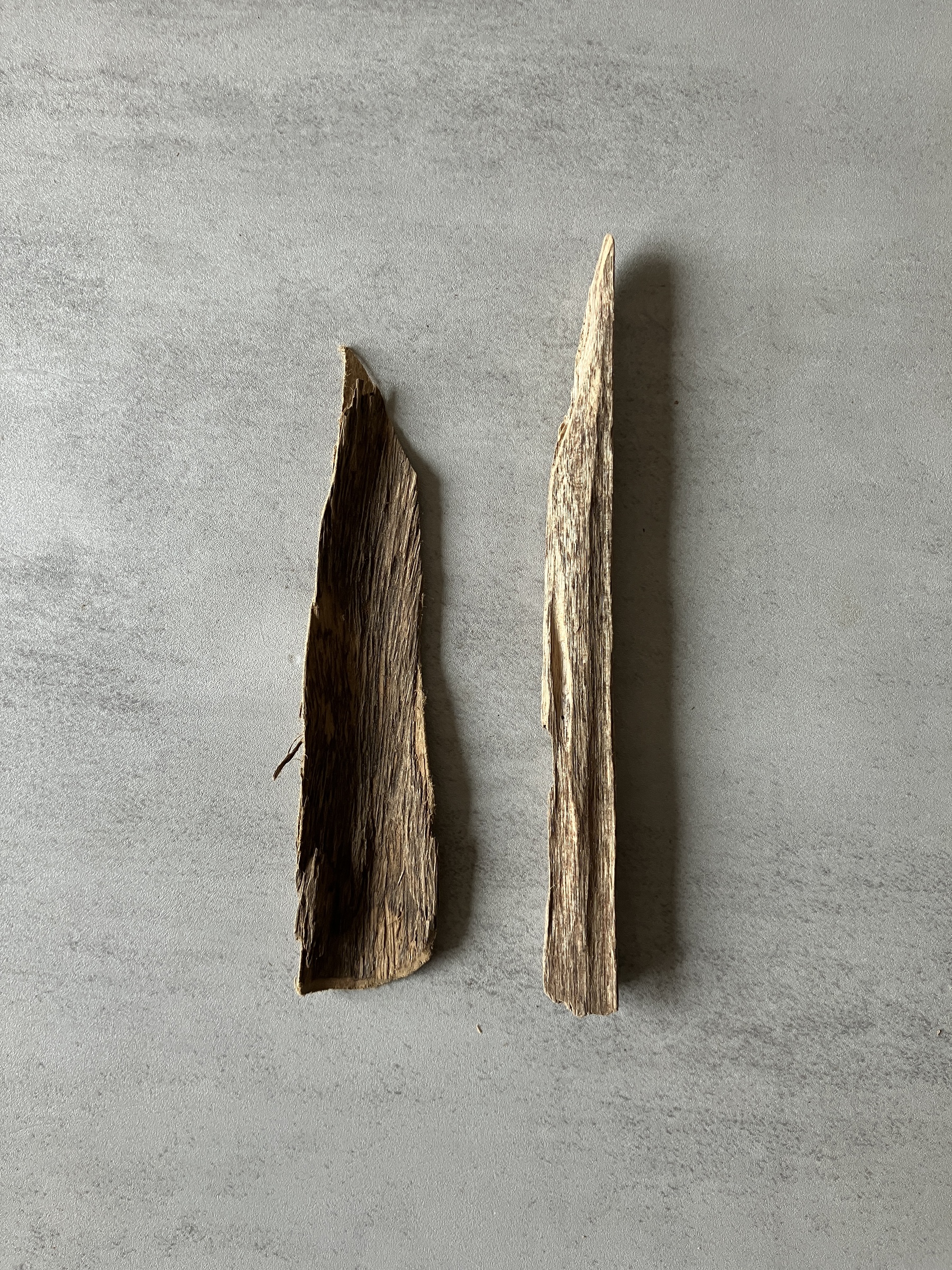 image_1386CAF7-05D7-484A-B420-2887207ACF07_1774423972