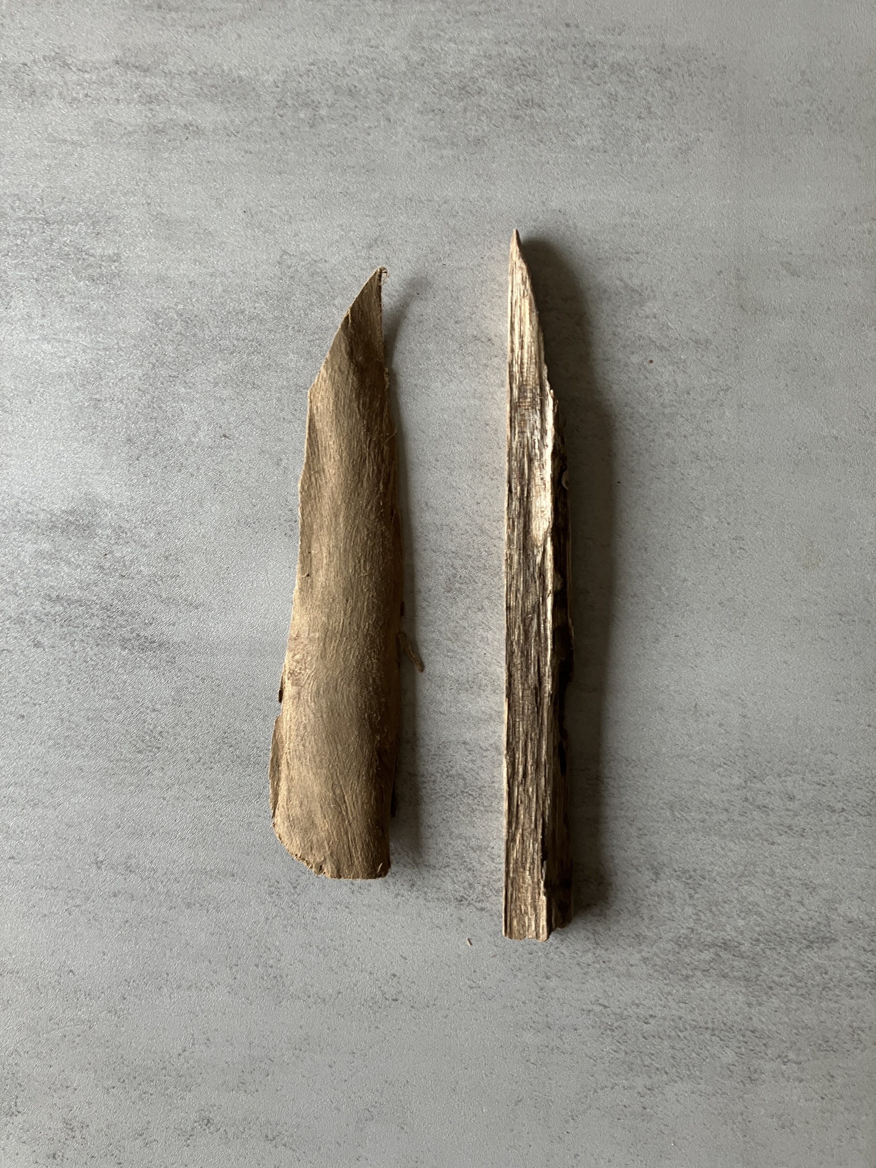 image_3C888227-6B60-451B-8114-8BC15353AD94_1774423972