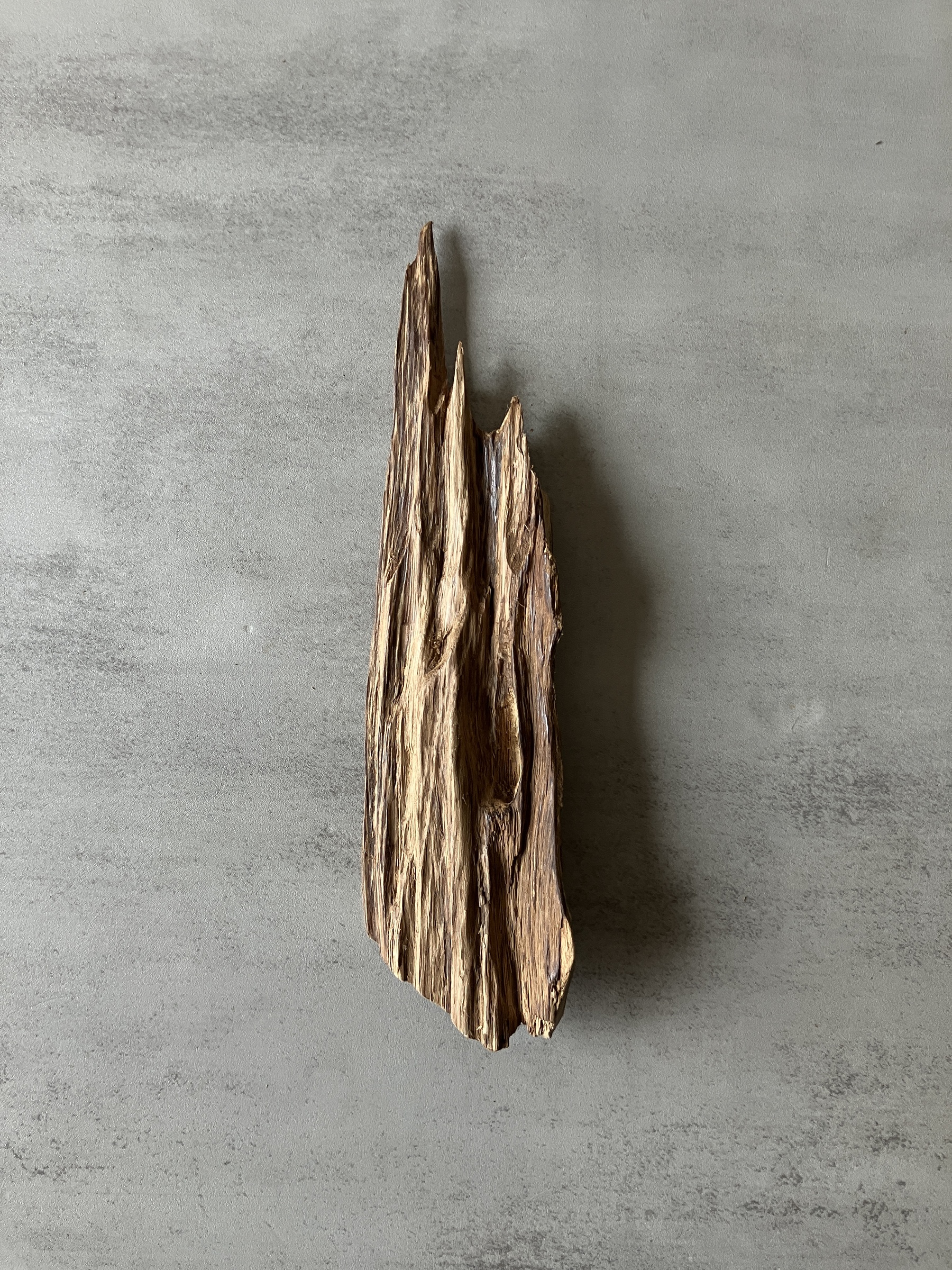 image_A9014E9F-2A02-47C6-AAAF-72771DCC5718_1774424049