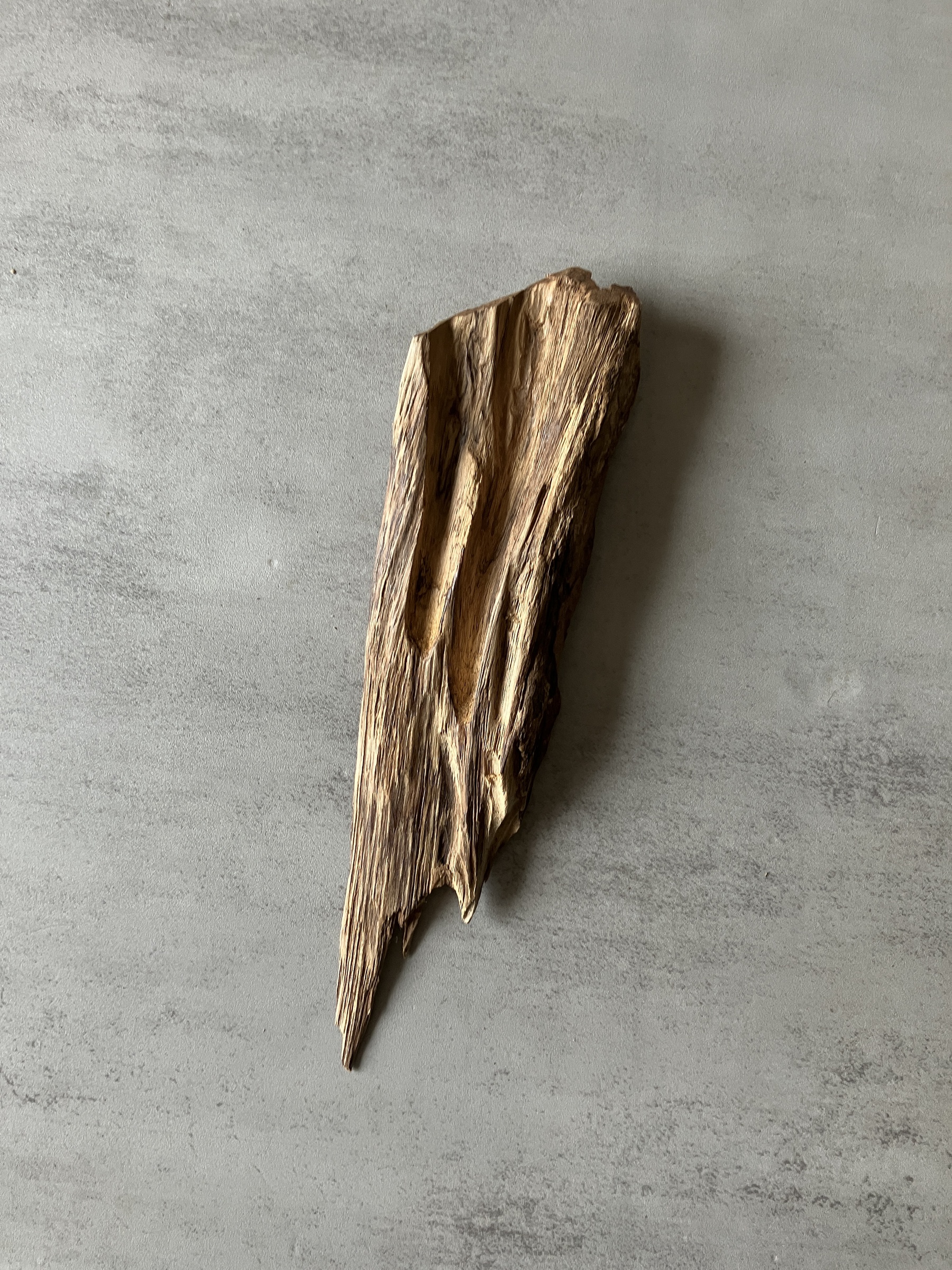 image_7F321521-0877-43EE-92BD-09BDB3CD890D_1774424049