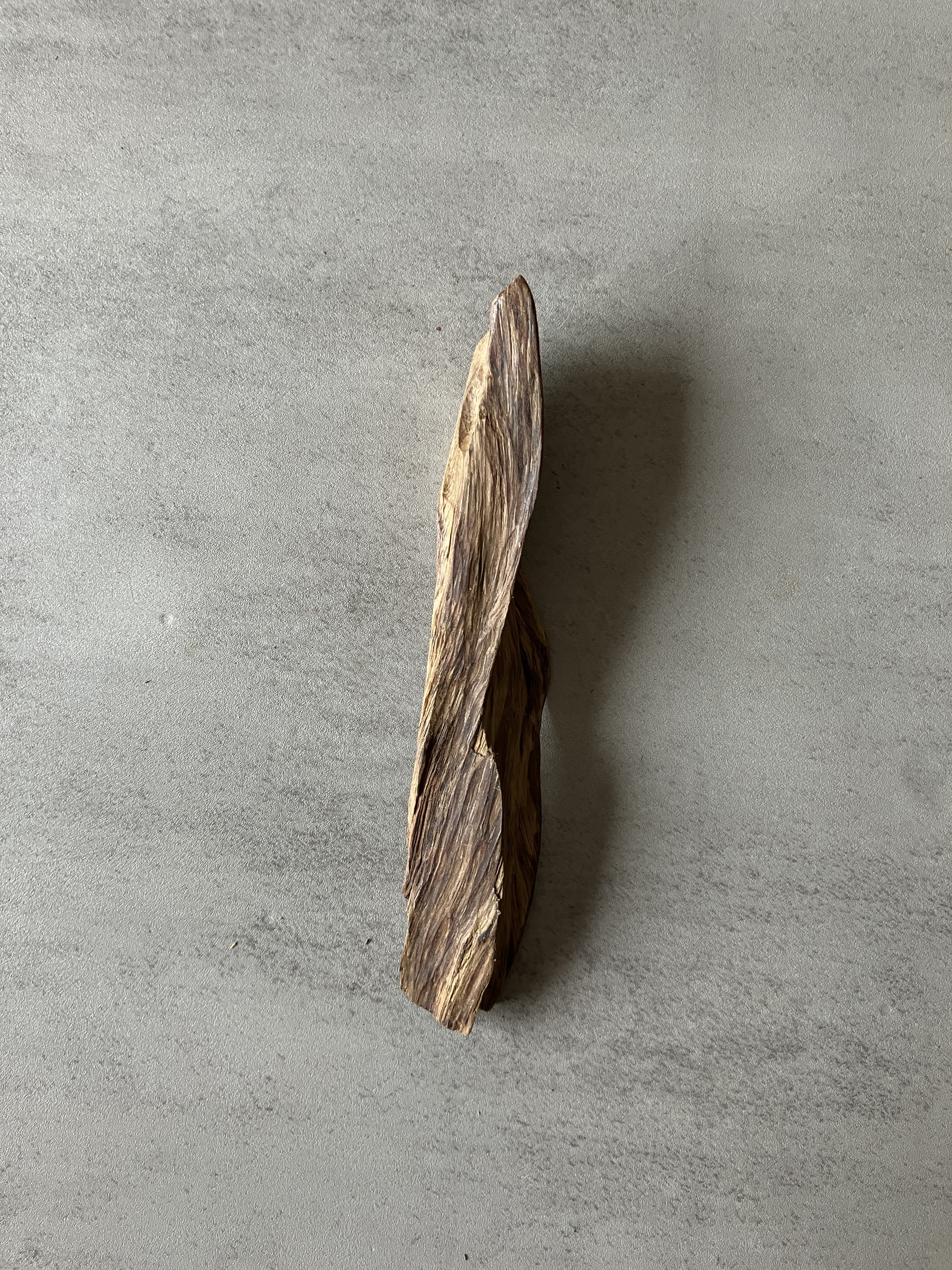 image_02904878-E22F-4580-922A-1C8AED05A9B9_1774424143