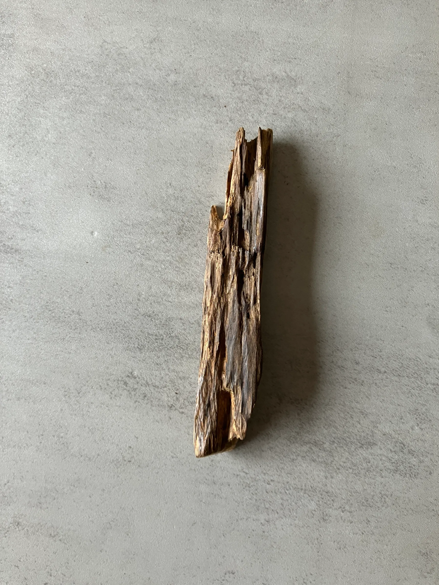 image_84524D71-6968-4B35-B6CB-3E86ABC32234_1774424239