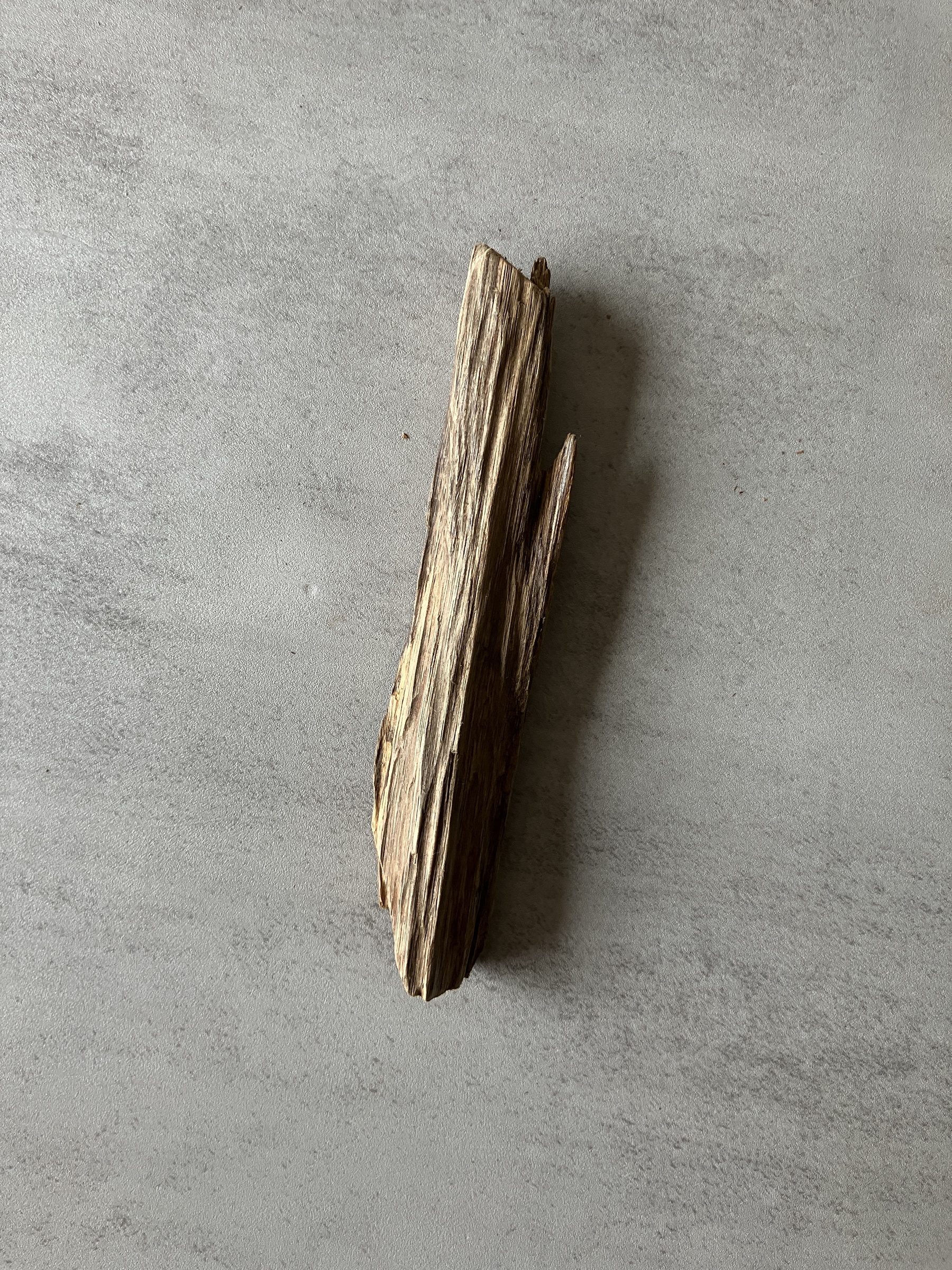 image_3A57B55C-CCA2-4FEB-95A1-C4BD94B89BE6_1774424239