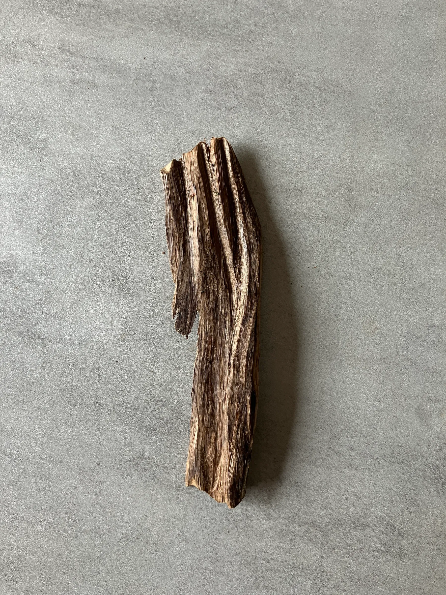 image_E4C9857F-762A-4CB3-8CEF-D7E5793802E6_1774424318