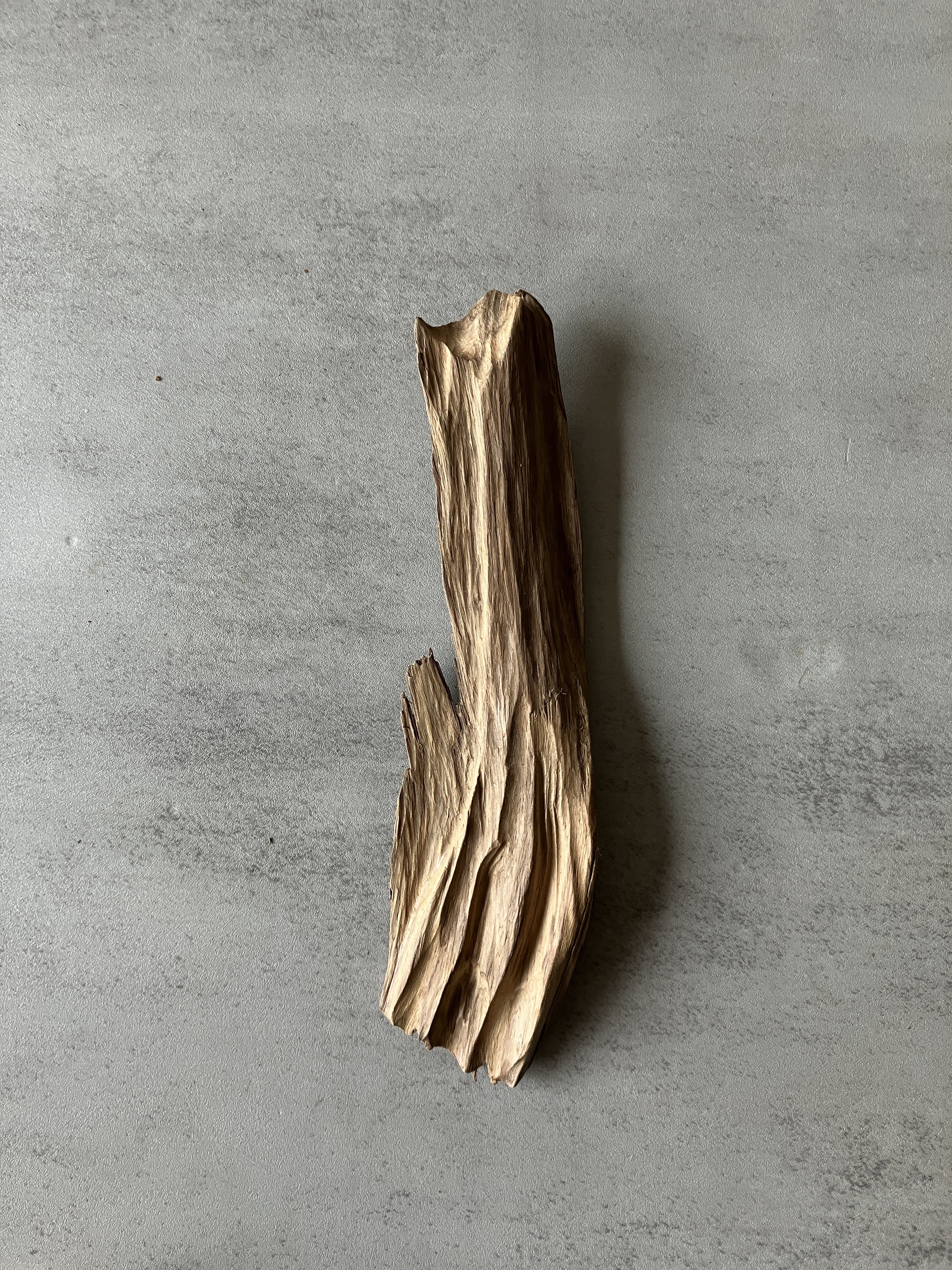 image_DCB13879-802E-42C6-B3E5-832A55C046F4_1774424318