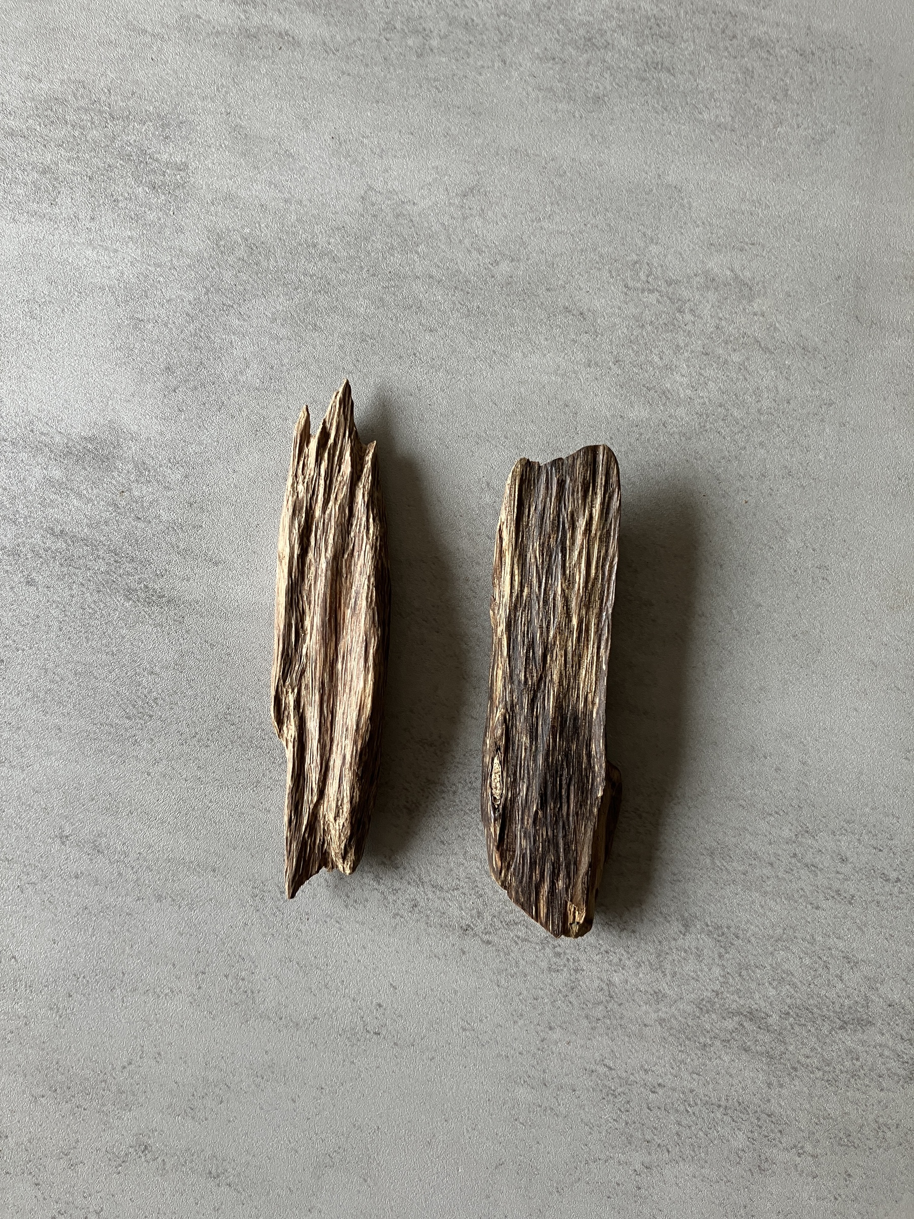 image_E2F512CC-C17E-4D19-869C-D0AC998CAF6E_1774424422