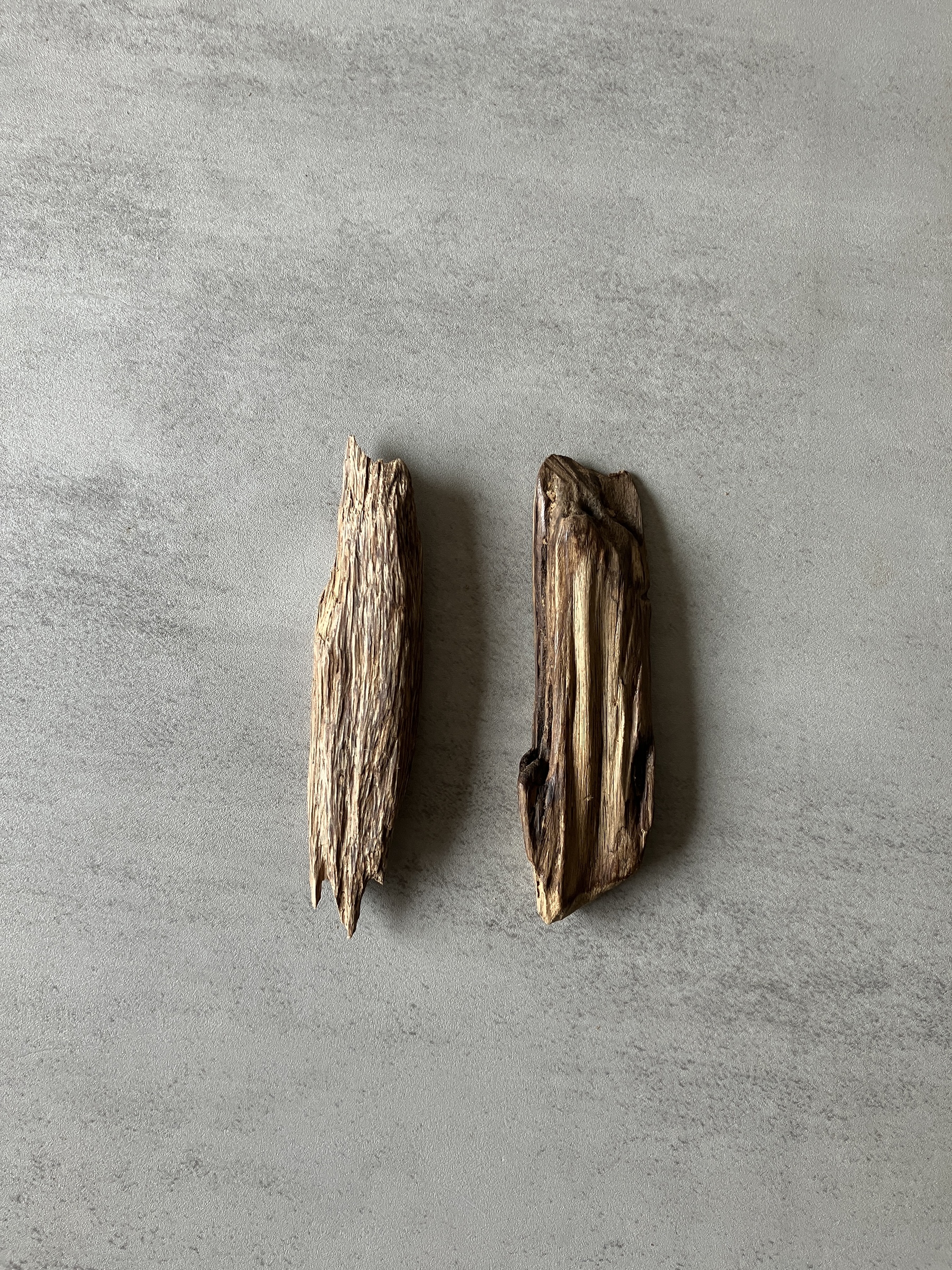 image_C8DF2C4A-BAAC-40AE-A808-9DFCE419F9E1_1774424422