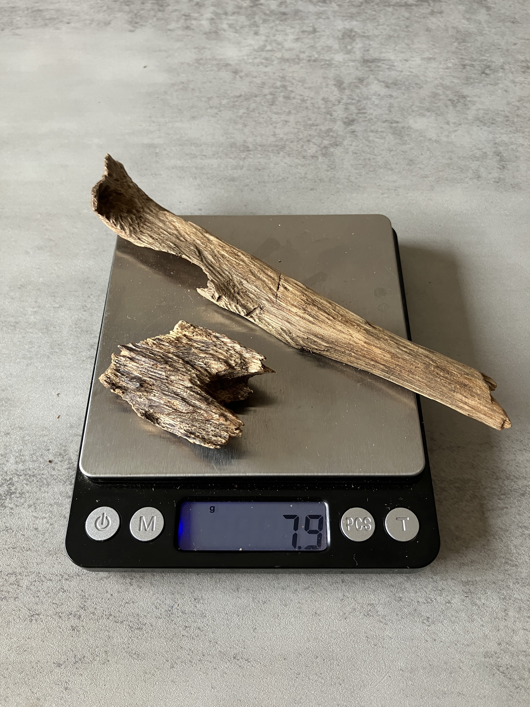 image_B71C7ACE-F6BB-46AC-BE92-C9161037734D_1774424526