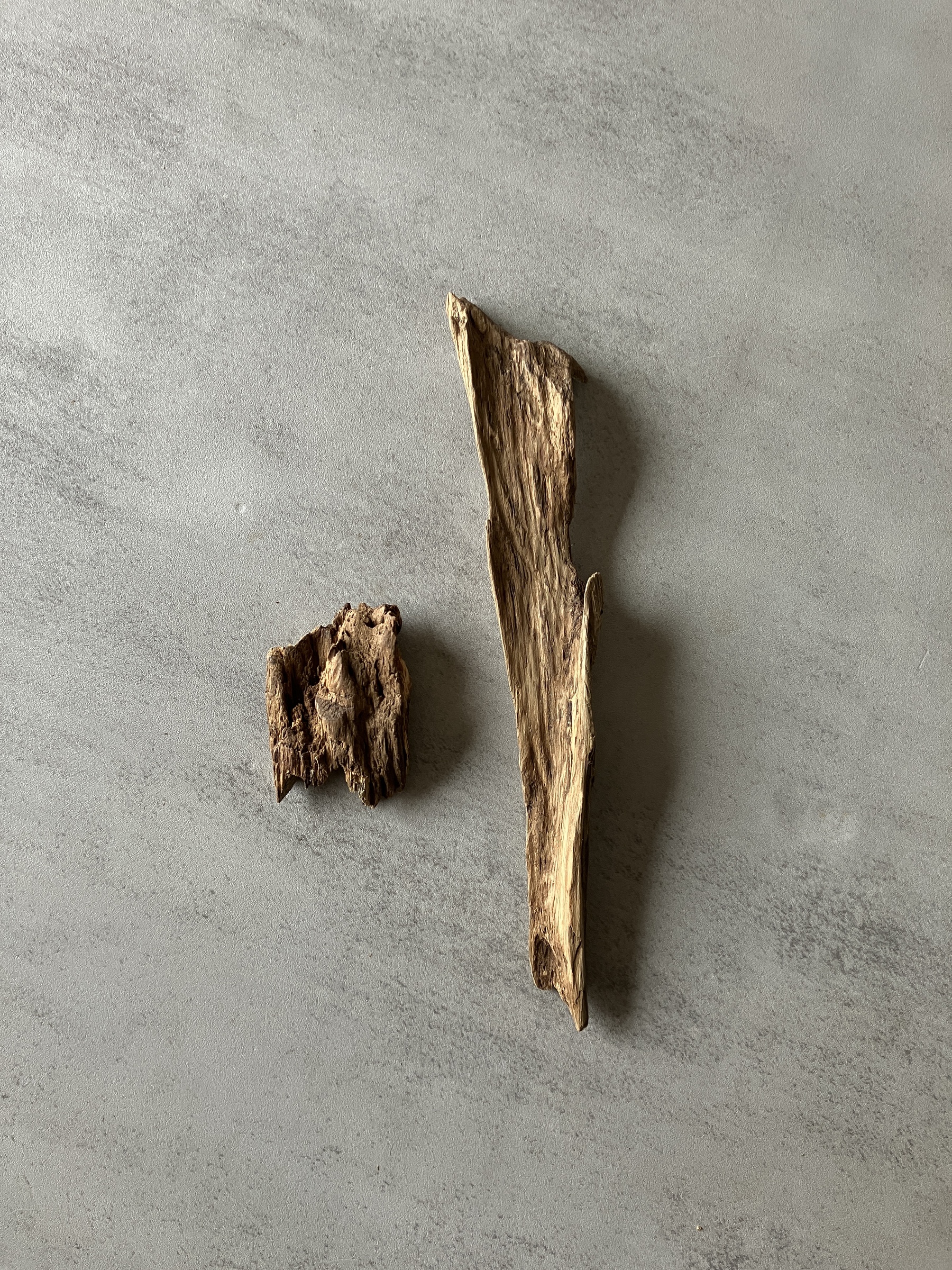 image_B063B6B2-2663-4CA3-AE57-0CDF1A2E78EB_1774424526