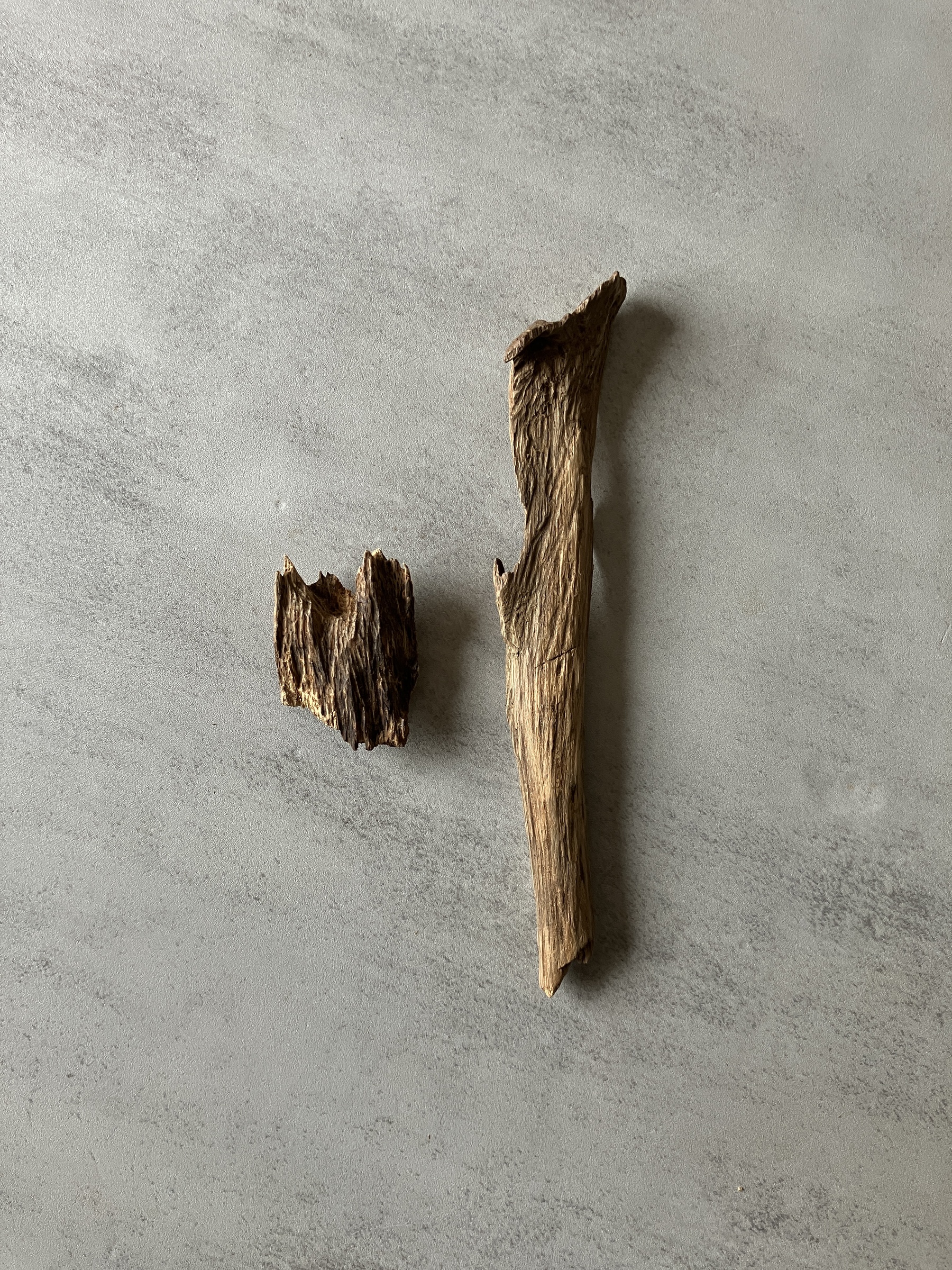 image_740DF97A-BA69-42D6-A7CD-1B00CC501102_1774424526