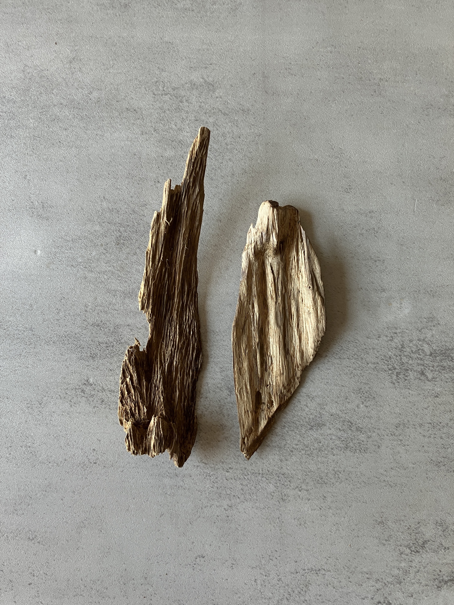 image_72D86892-FA79-406A-AE9C-82AF625ED3F1_1774424633