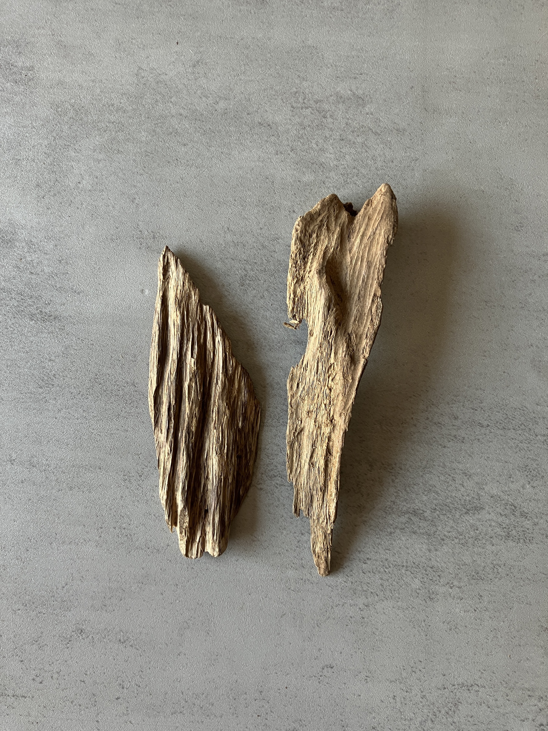 image_9E3370BD-0668-4DC6-A593-7493DF8A5BC1_1774424633