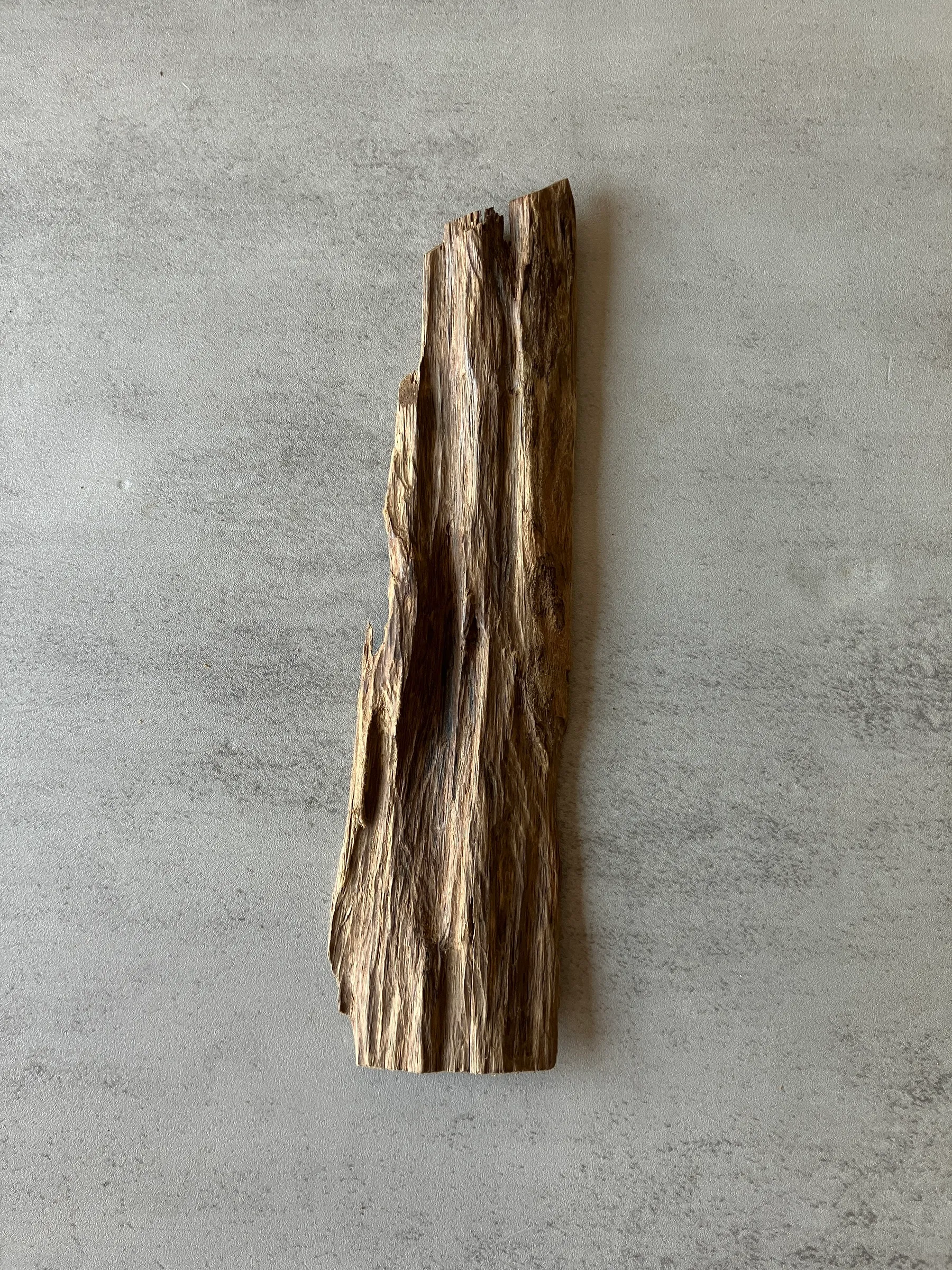 image_C2CB13E9-9A60-48AF-B8A2-23480CA8D7B0_1774424746