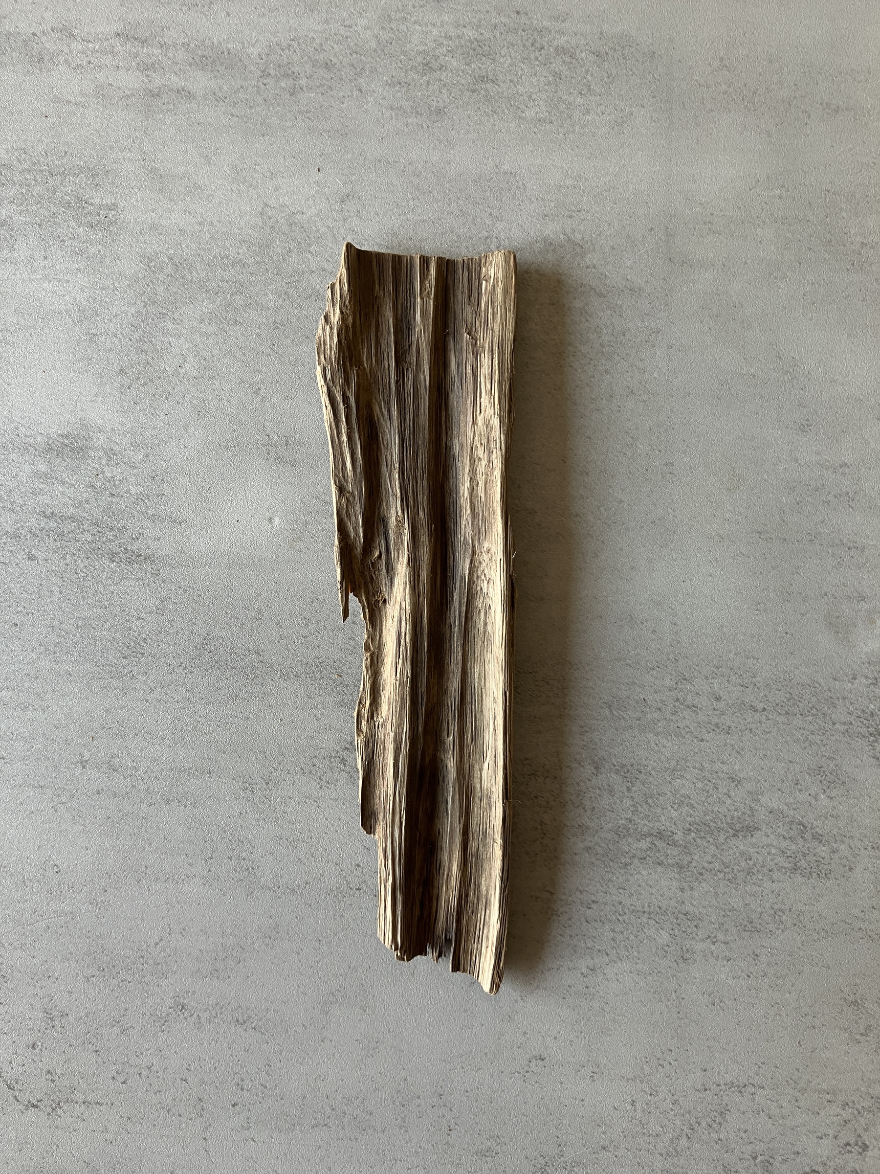 image_16759D33-563C-485A-BBD2-92D43ADF411B_1774424746