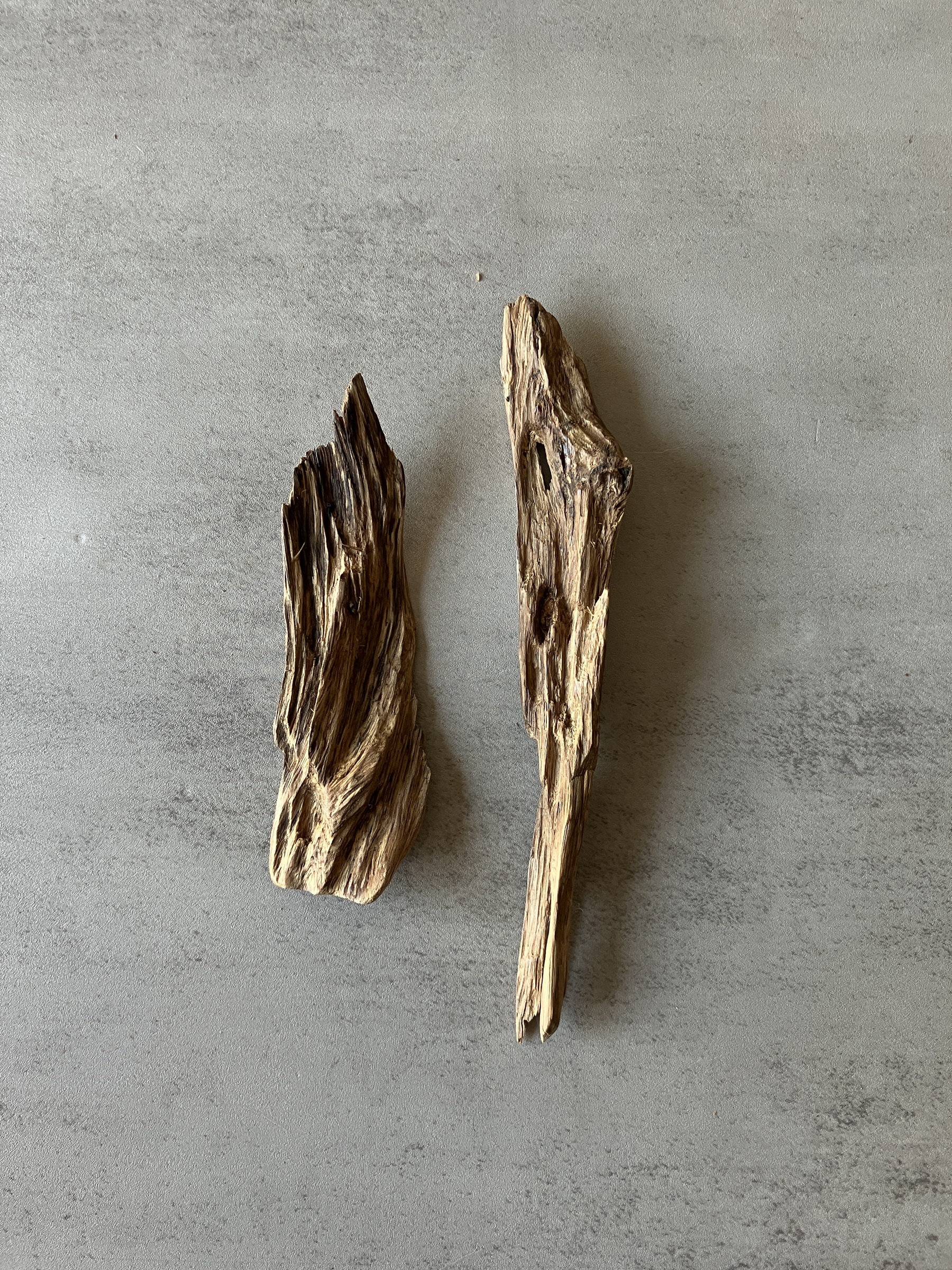 image_ECDA1C76-CC0F-4BA2-A866-DF72D2BAB753_1774424839