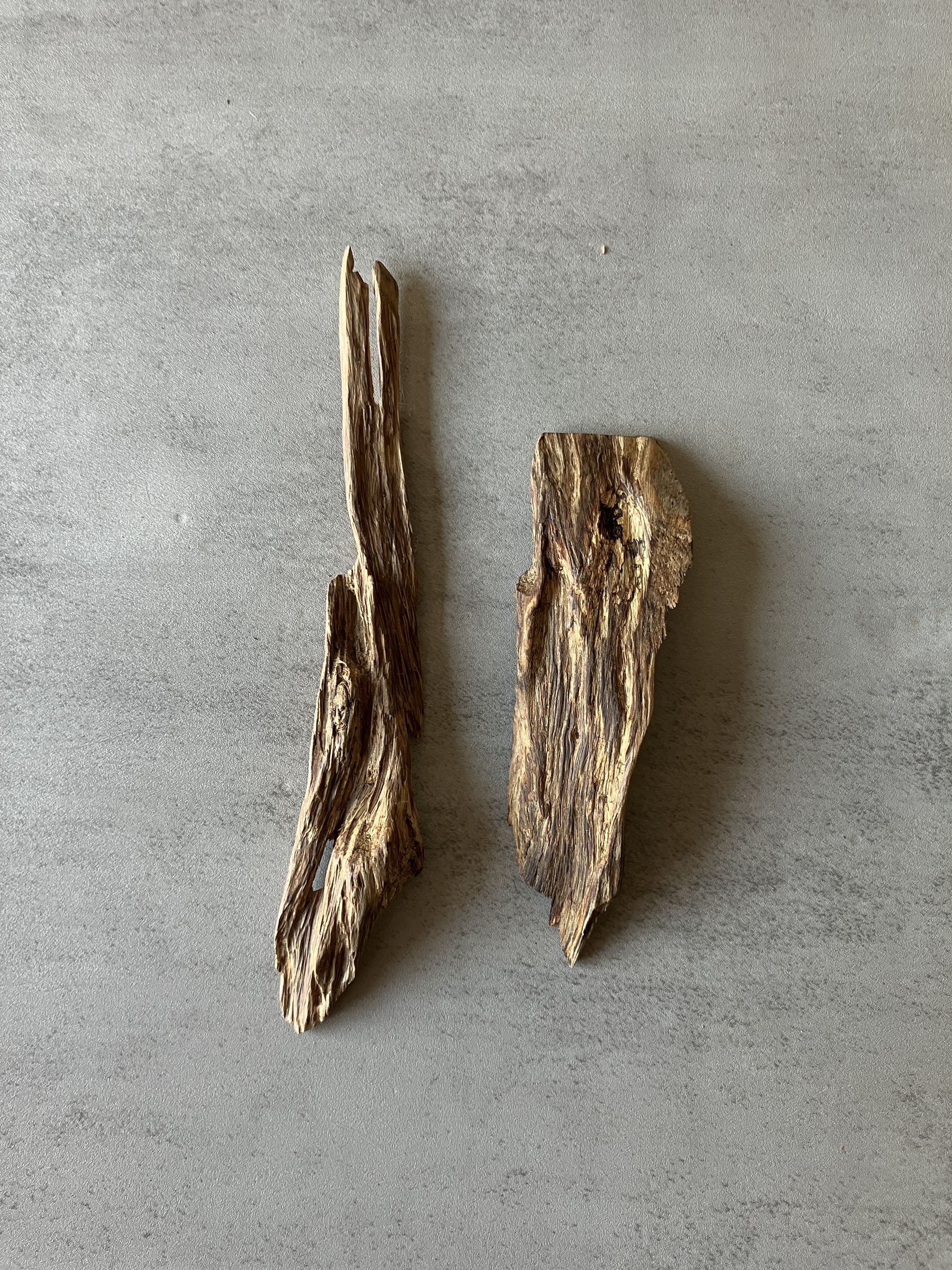 image_9164D1F1-ACFF-49AA-B6AB-4AED87932373_1774424840