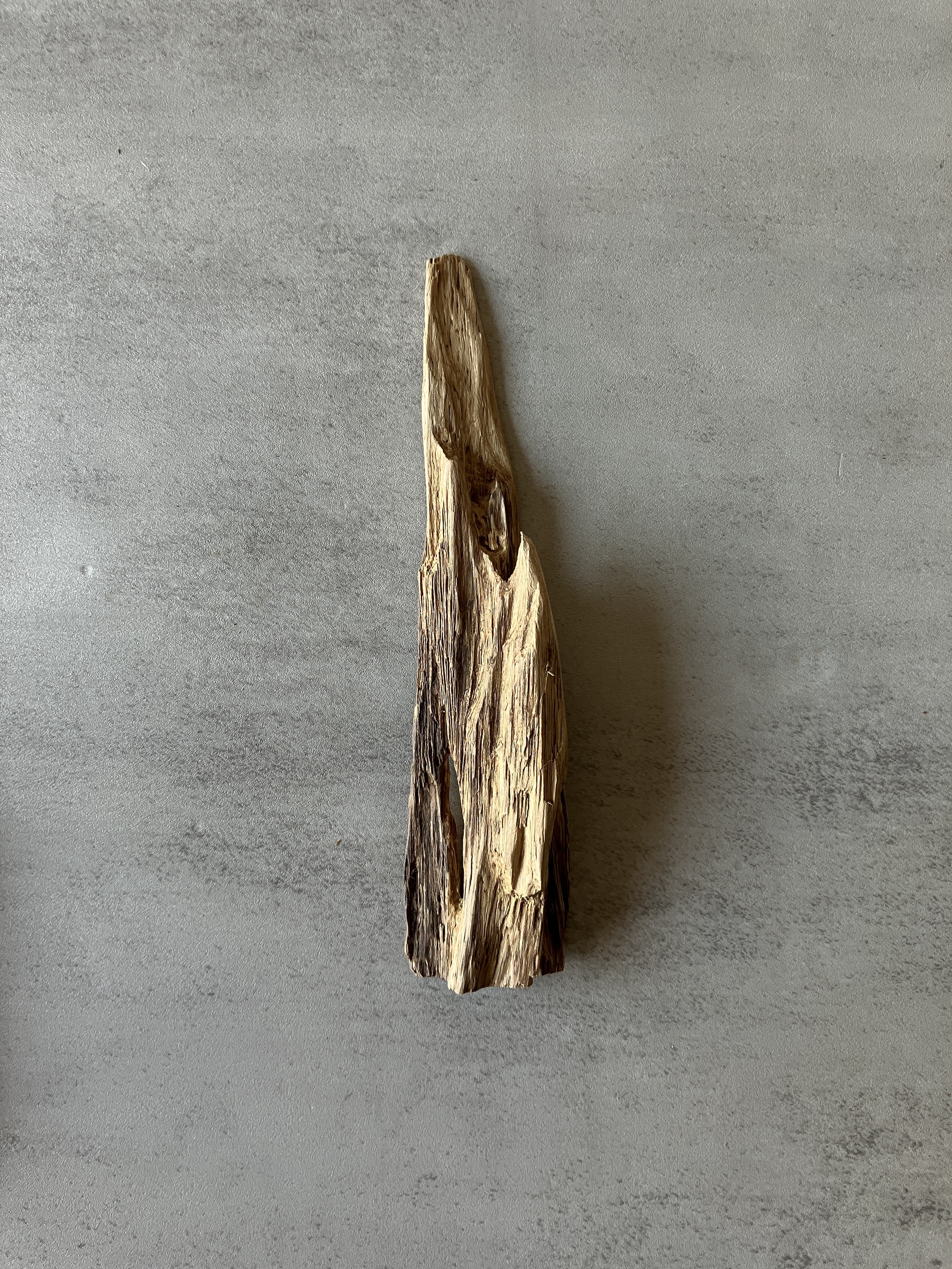 image_1BAE8892-46F1-4F25-8BBF-E6CF14AD868E_1774424983