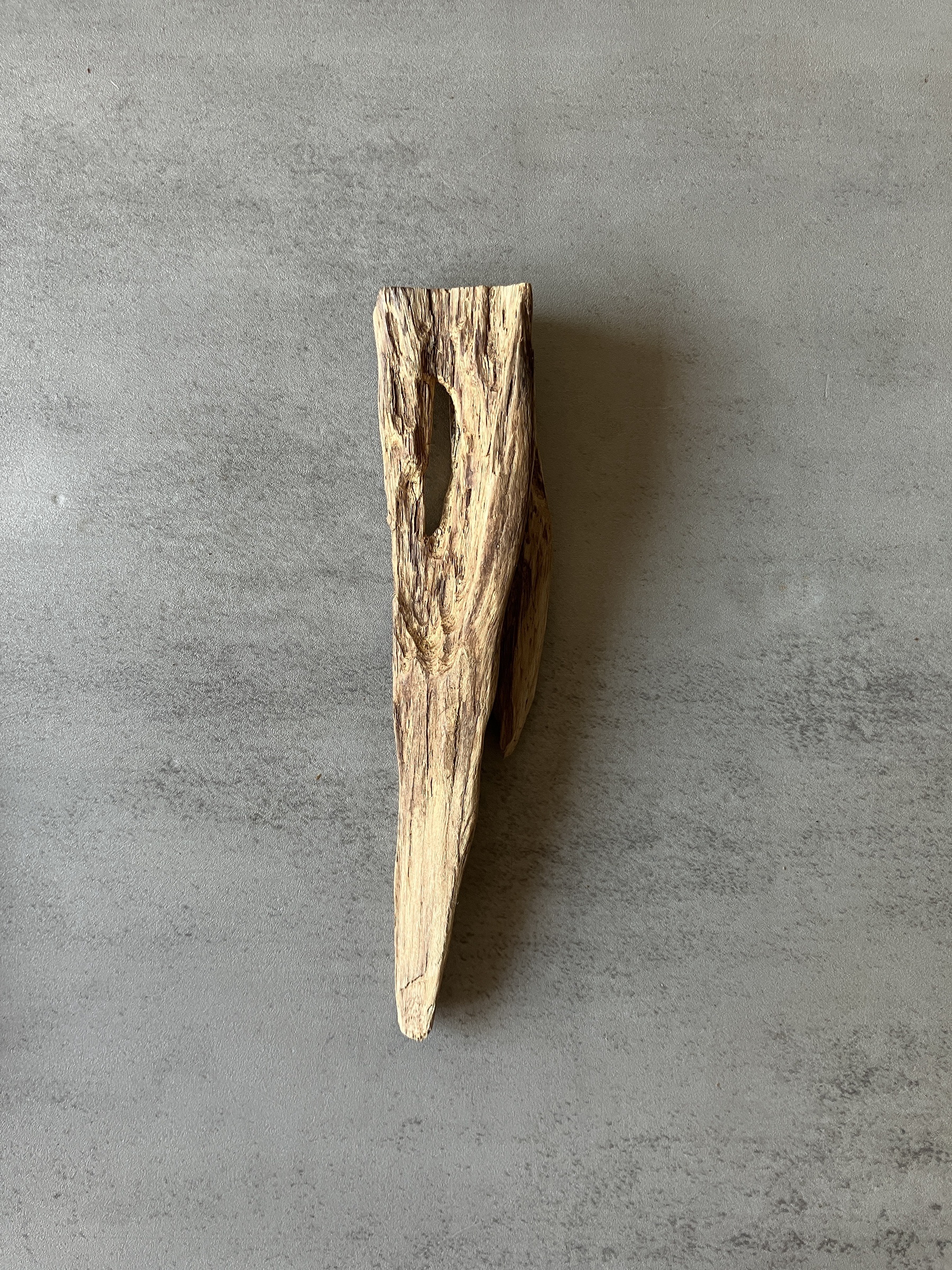 image_268D13DE-F2BE-4010-9169-3C77F01282F1_1774424985