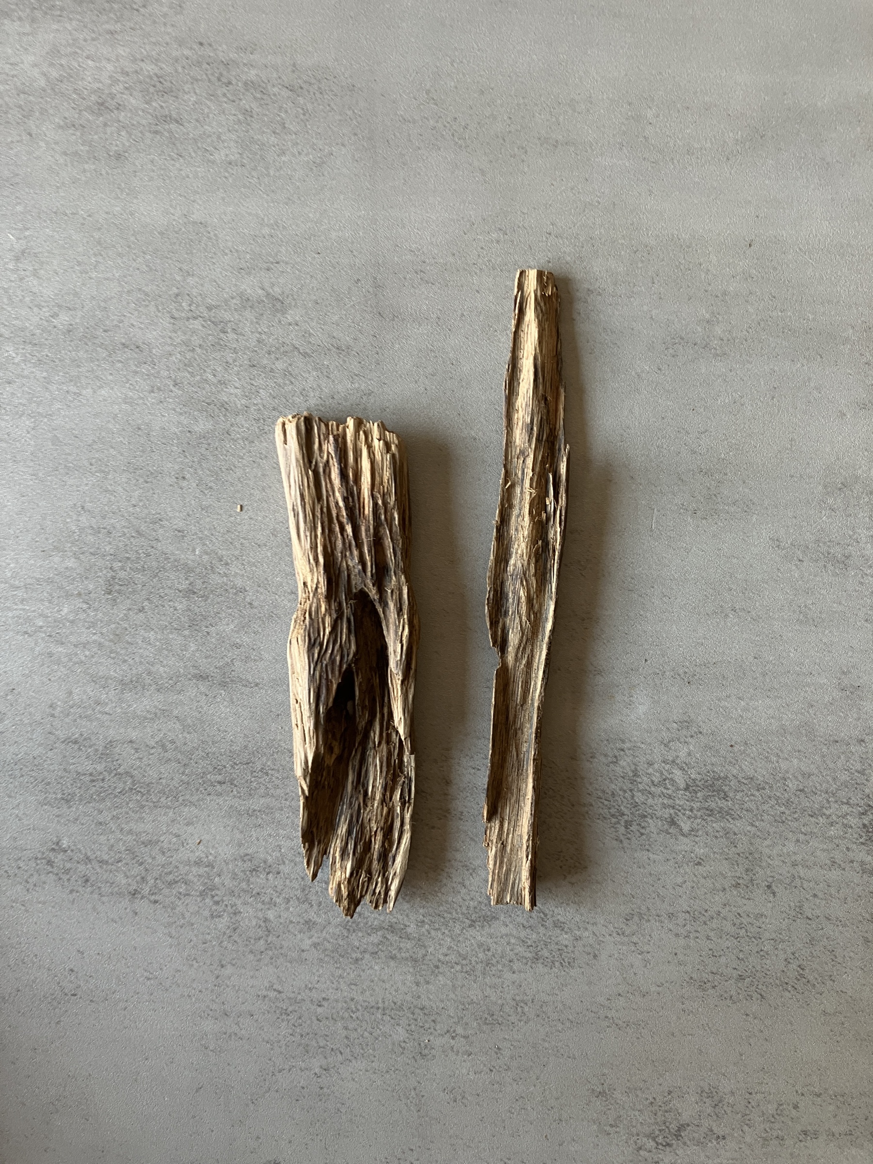 image_7D608DE9-1F11-46A1-80CE-DDCED0E28F67_1774425105