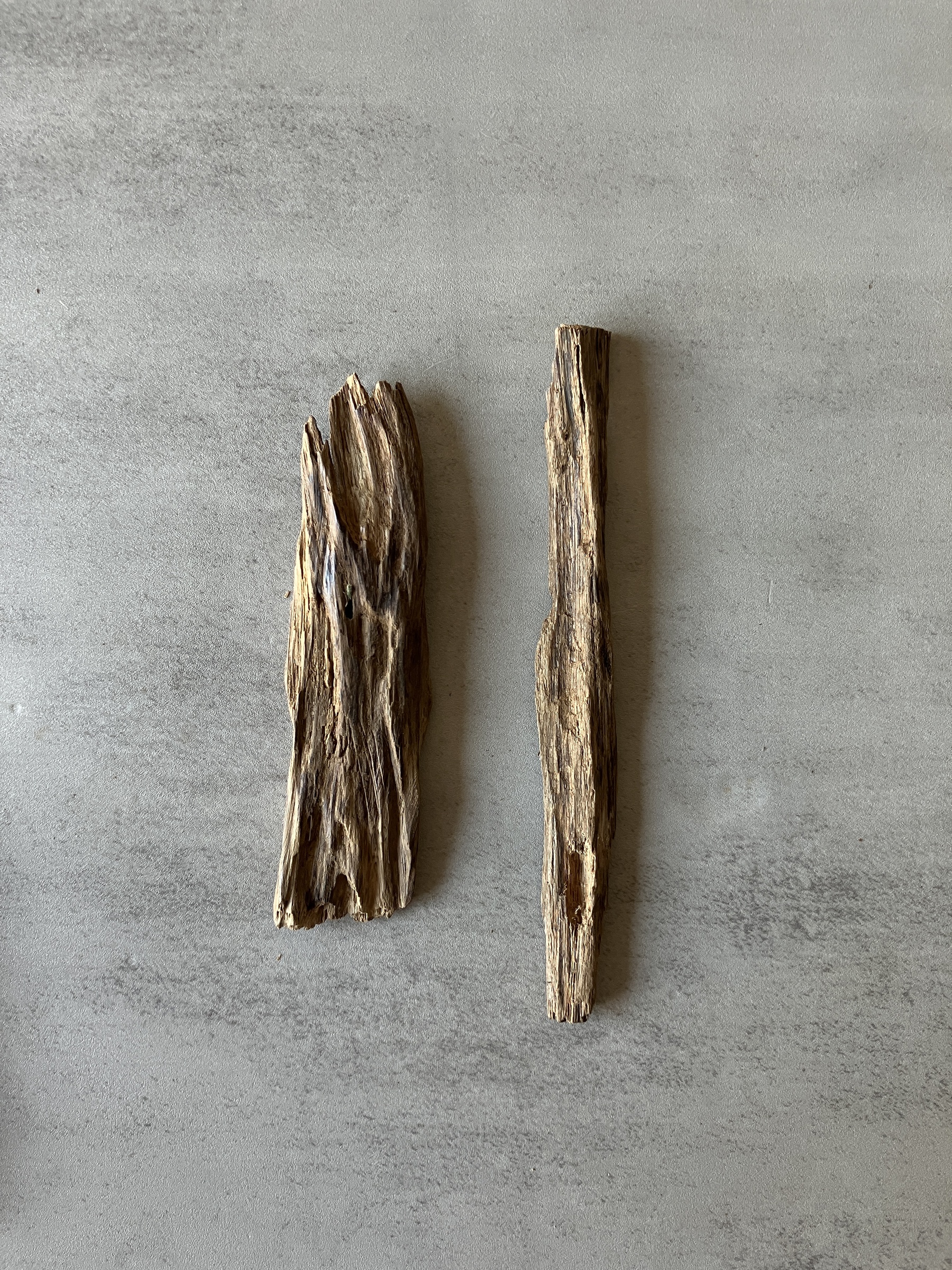 image_CED87E1C-E0F3-41B7-AB68-9B50CDD84104_1774425107