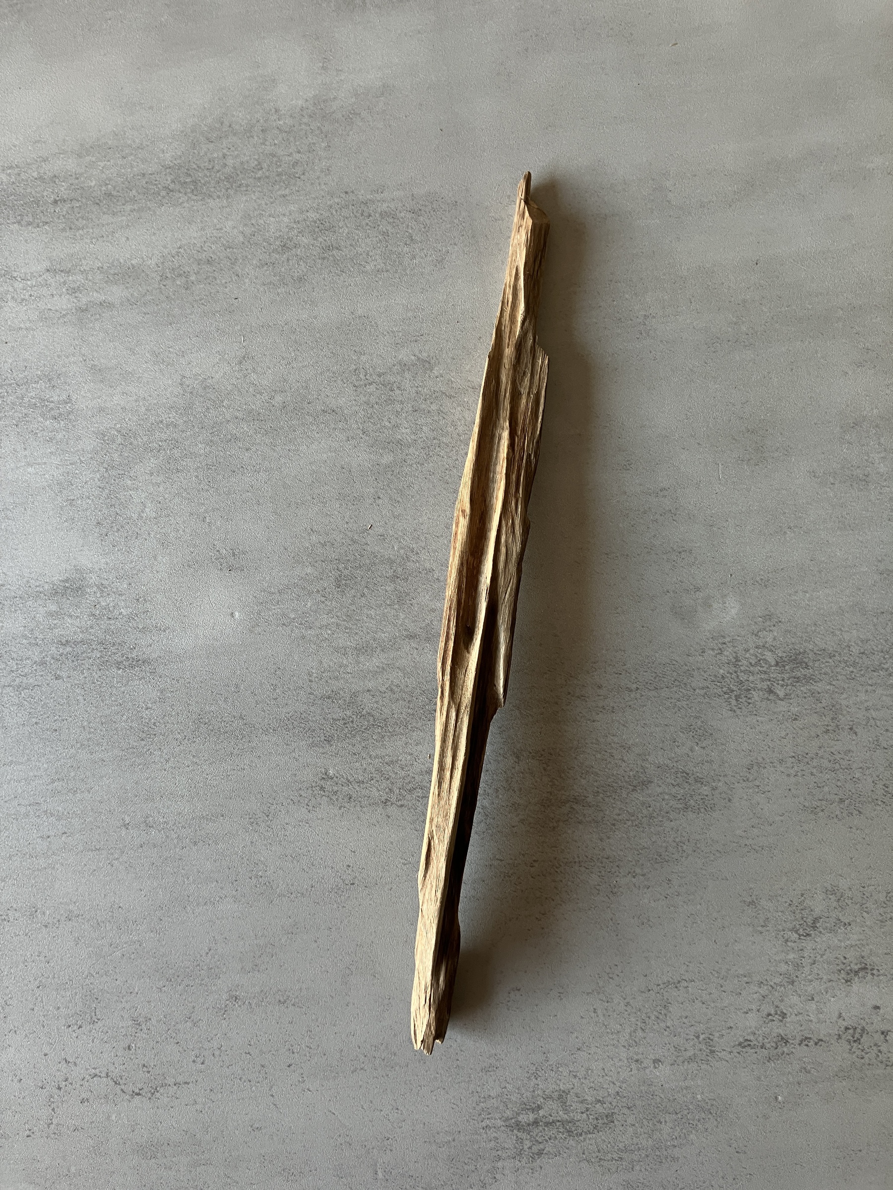 image_B8333843-CA6C-4EC8-8C0C-43C5B9C95850_1774425182