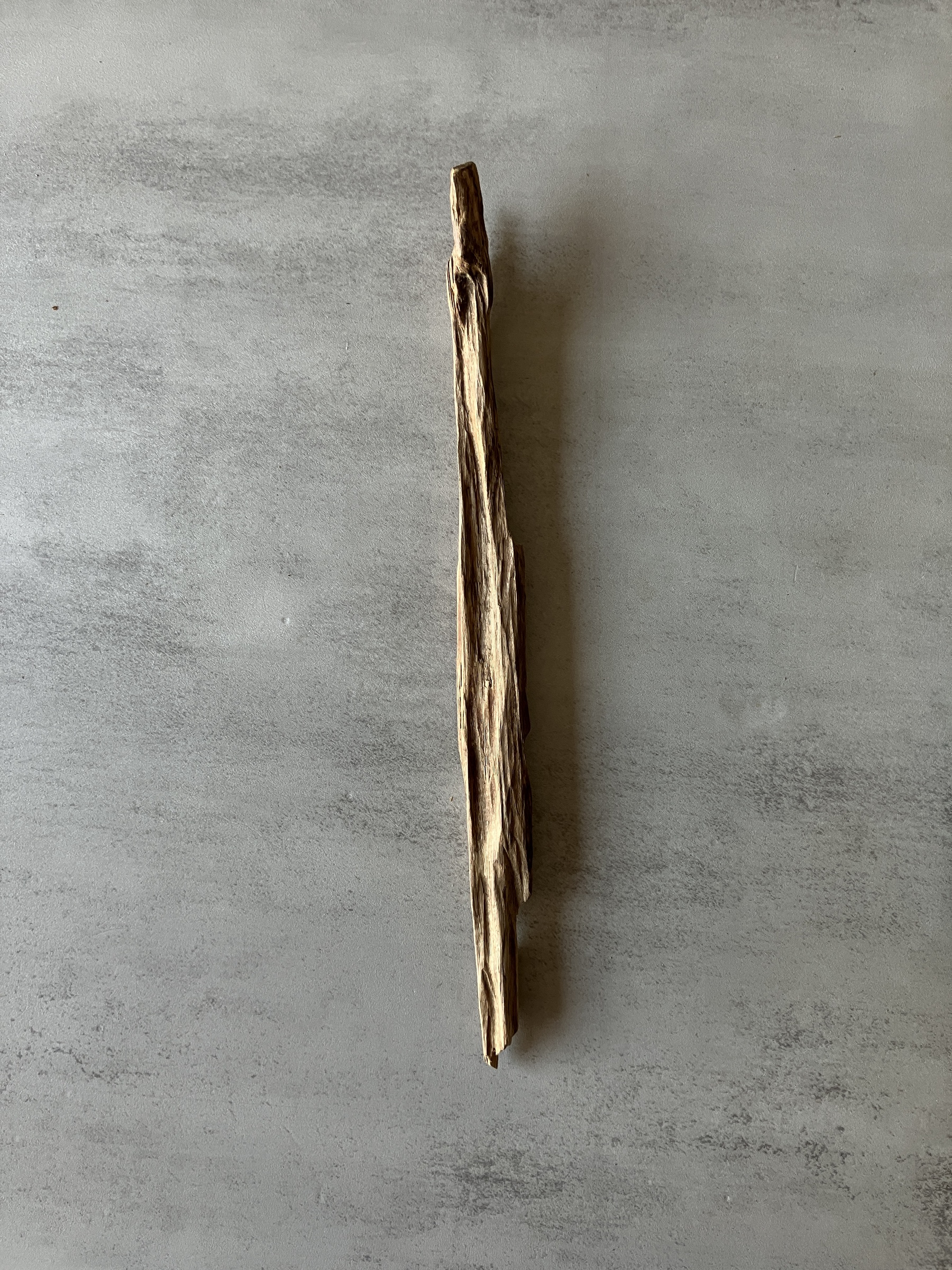 image_19D17D58-0D87-41EF-AFD9-0633C3965EC5_1774425183