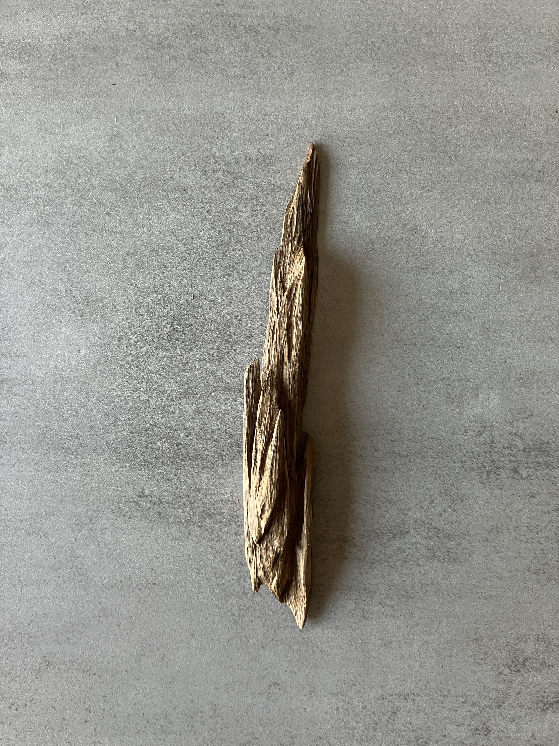 image_7D6A58A7-1A0C-40C4-98CE-B8DC39970981_1774425263