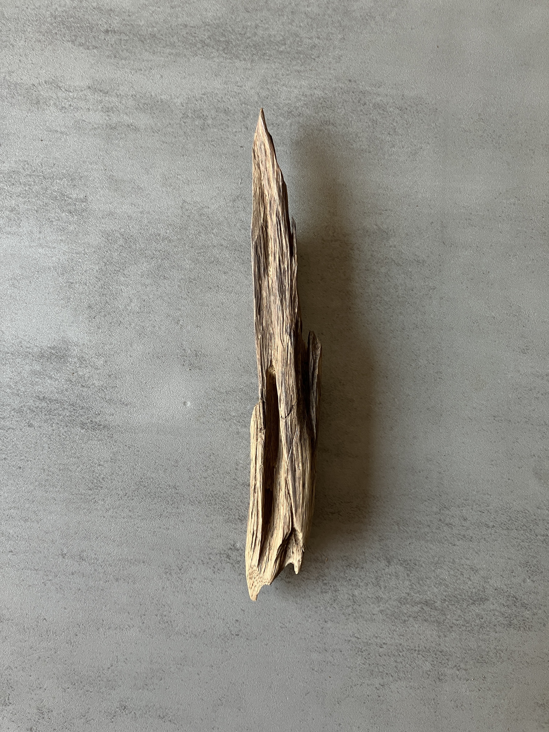 image_F2736078-C6EE-4F1D-A4B0-B2EFE8344BC2_1774425263