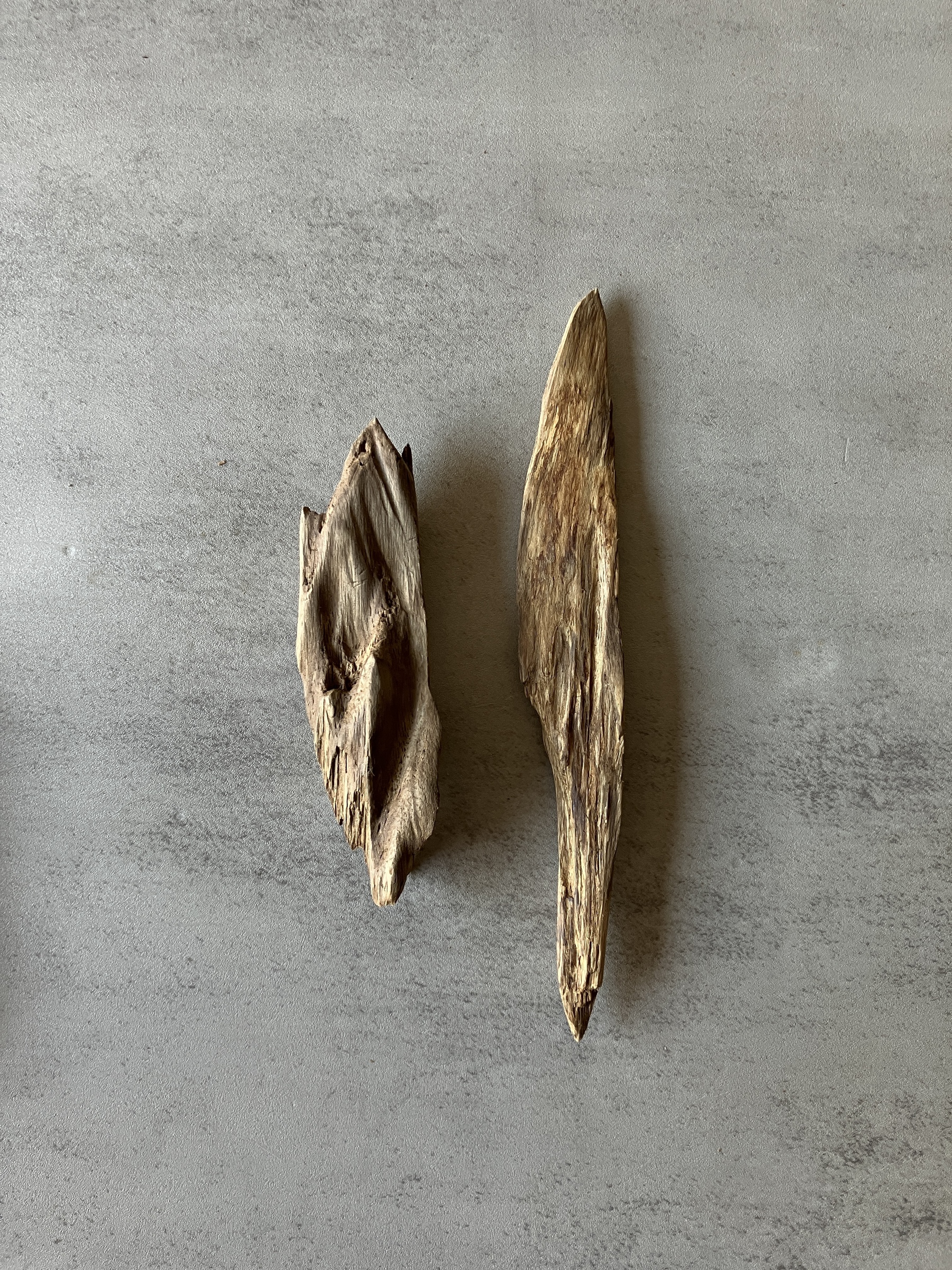 image_C866EC55-E0B2-4D28-BE19-B66A8CF1BE8D_1774425332