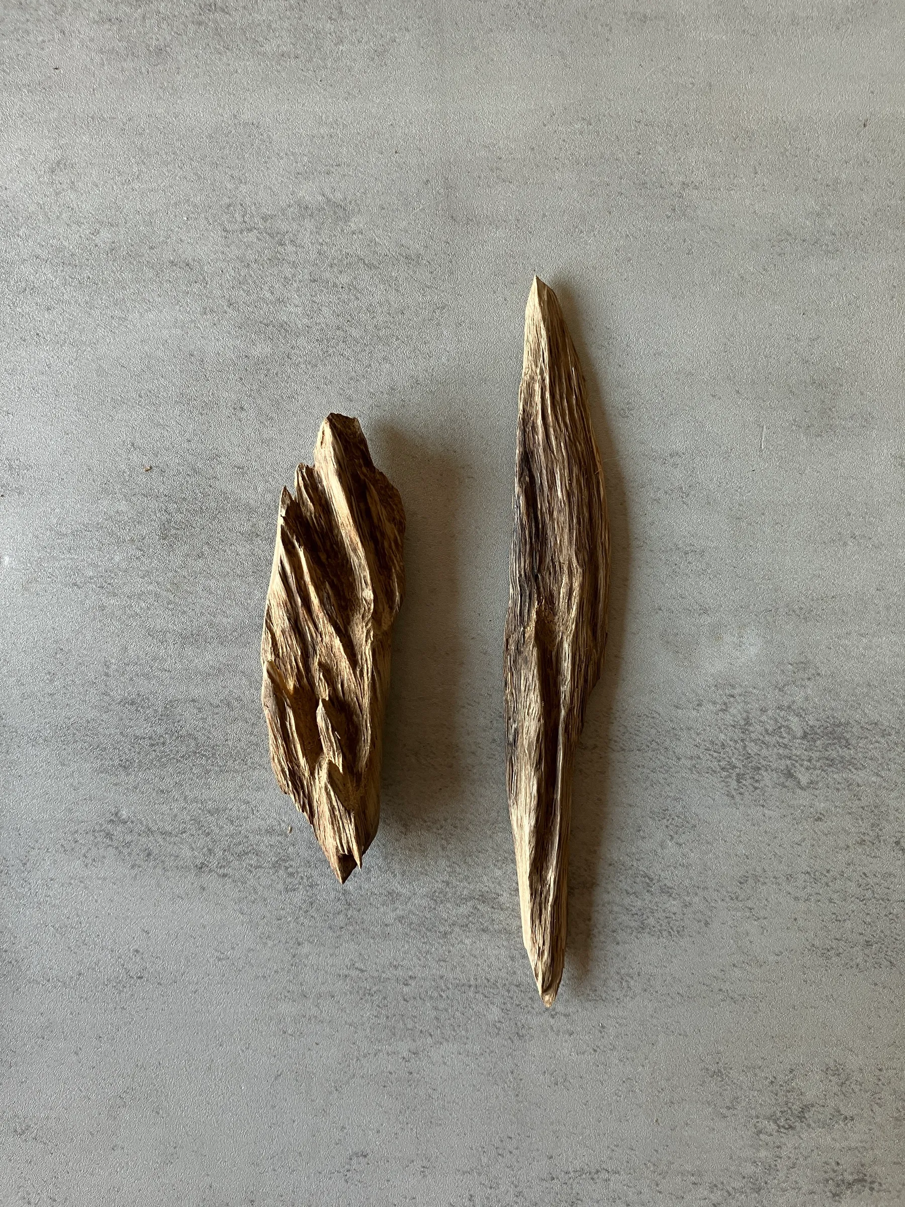 image_FF9ECBBE-5E28-4B72-8AB0-D8C24E71827D_1774425332