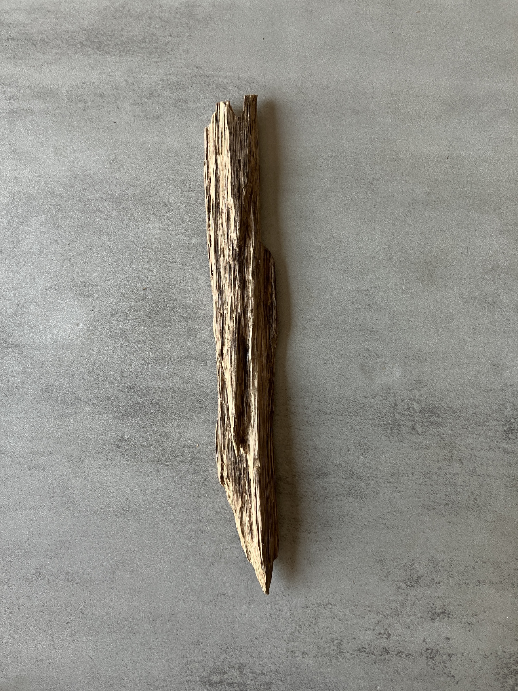 image_43973F78-4406-484F-9023-10879C32100A_1774425417