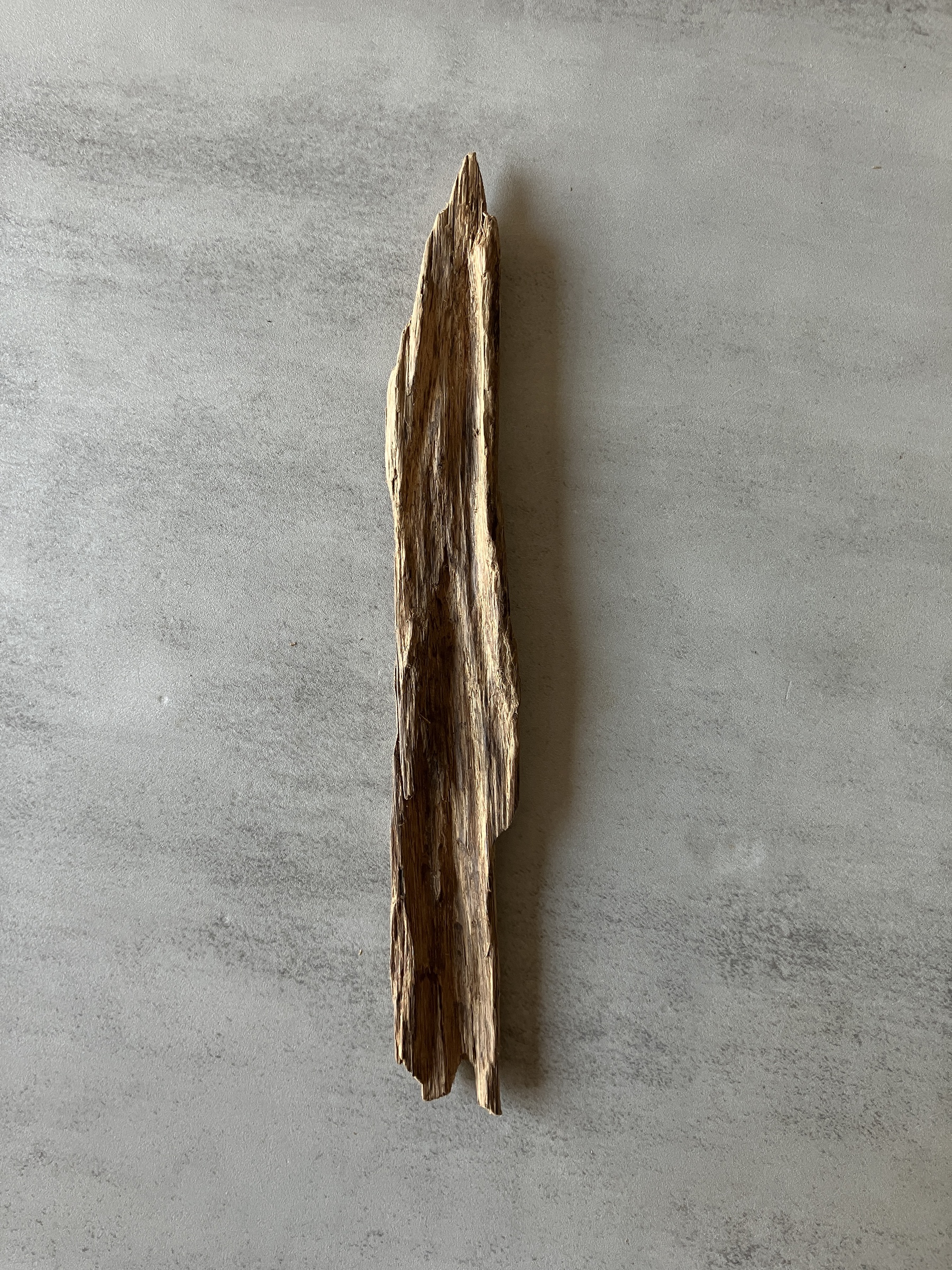 image_708EBF50-268A-463E-8457-4A3EEE82DC6F_1774425417