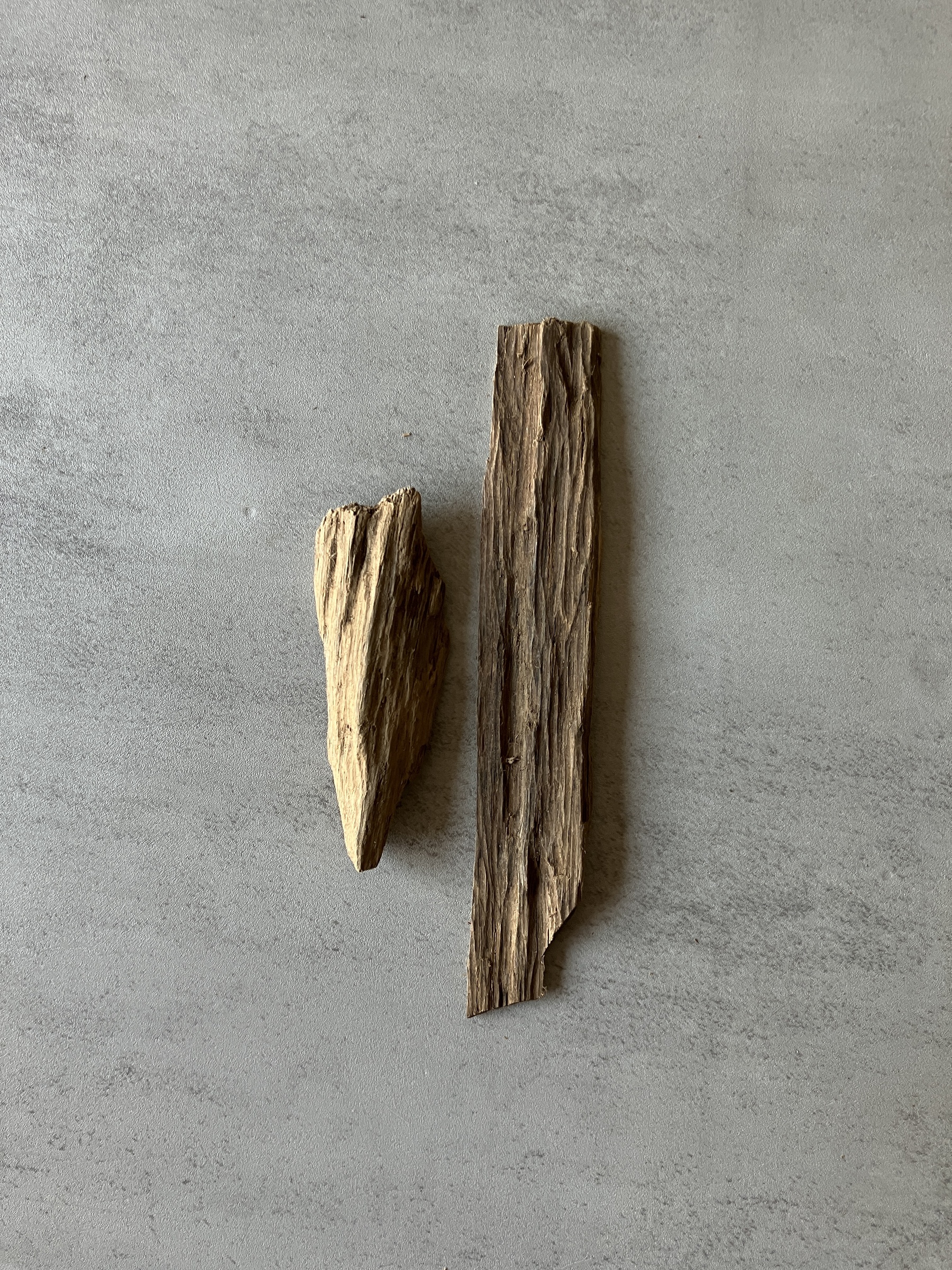 image_AEAAEDD2-B2EF-47FD-B2D9-B3FCB633AA00_1774425493