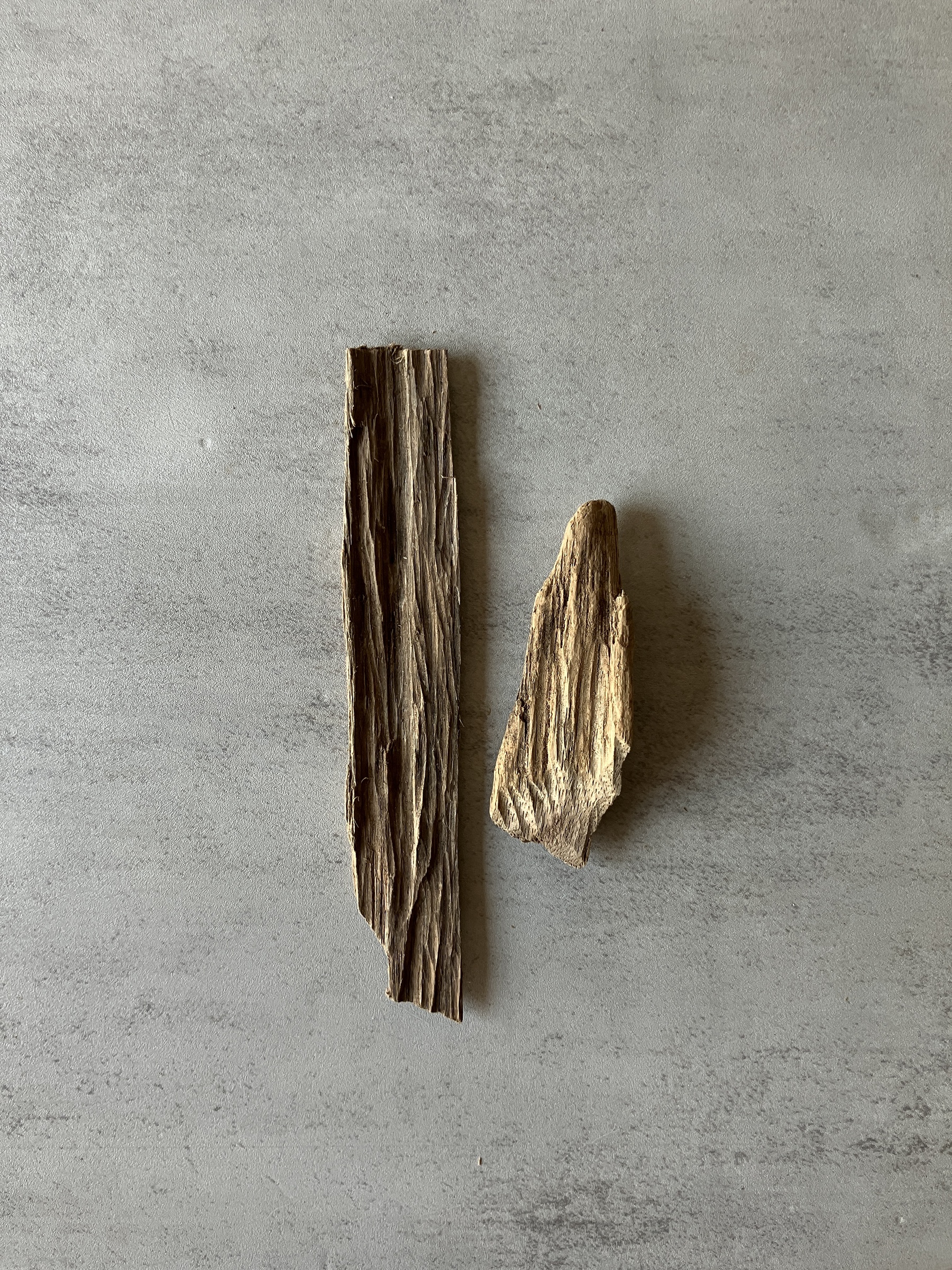 image_D1FDE8FB-97C6-461B-B49C-60F16E67A571_1774425494