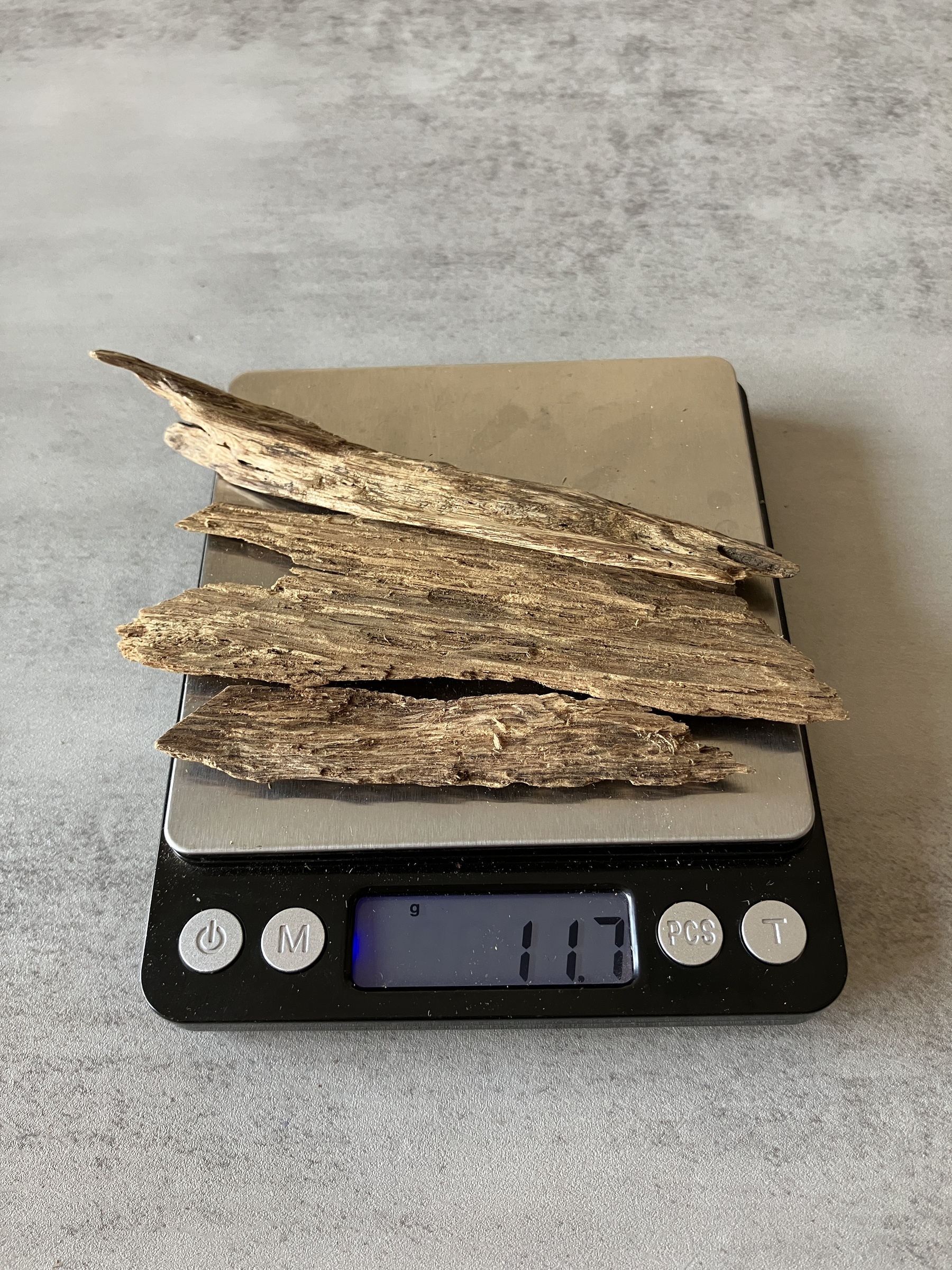 image_2790A281-15B7-46E0-8DAD-1349B600D24B_1774505685