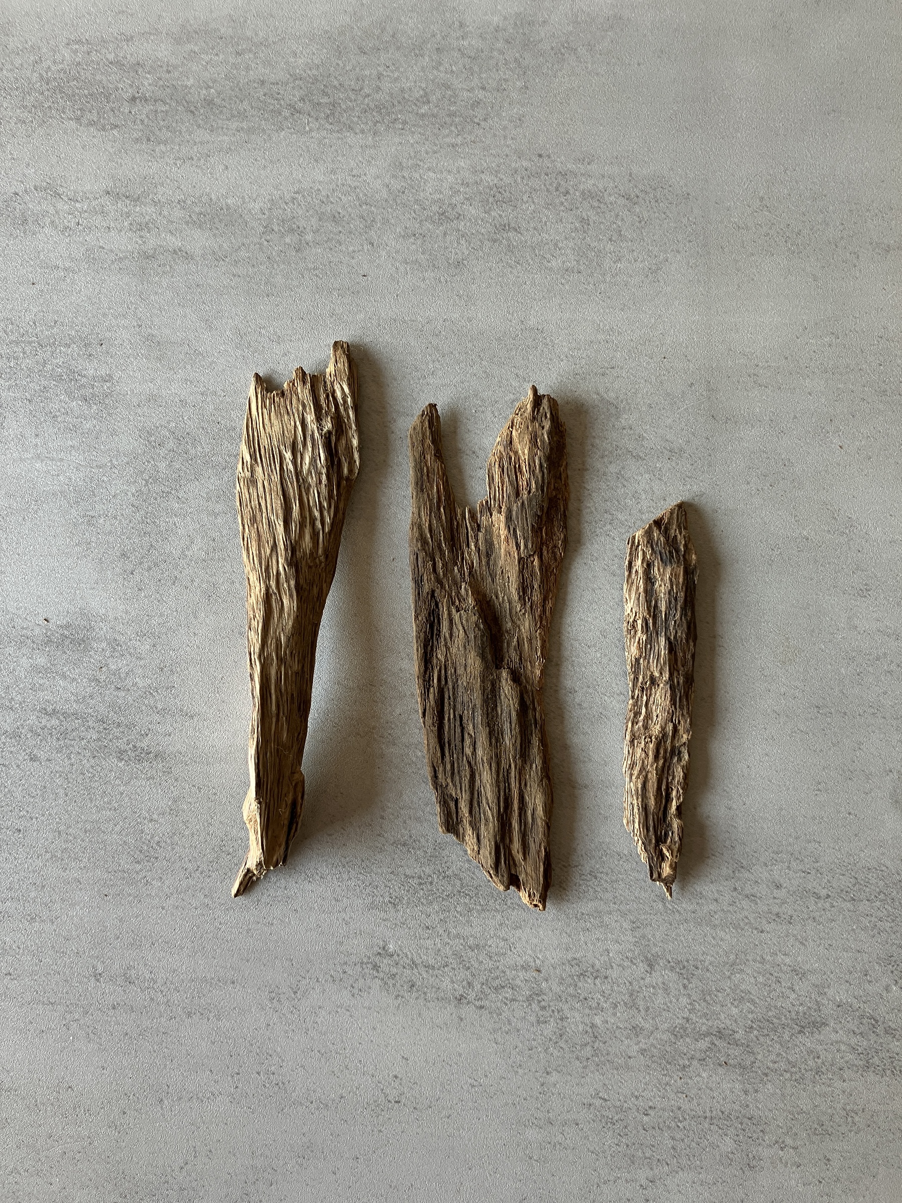 image_B23C4AFC-7AEF-4926-B990-9412AE304C9B_1774505685