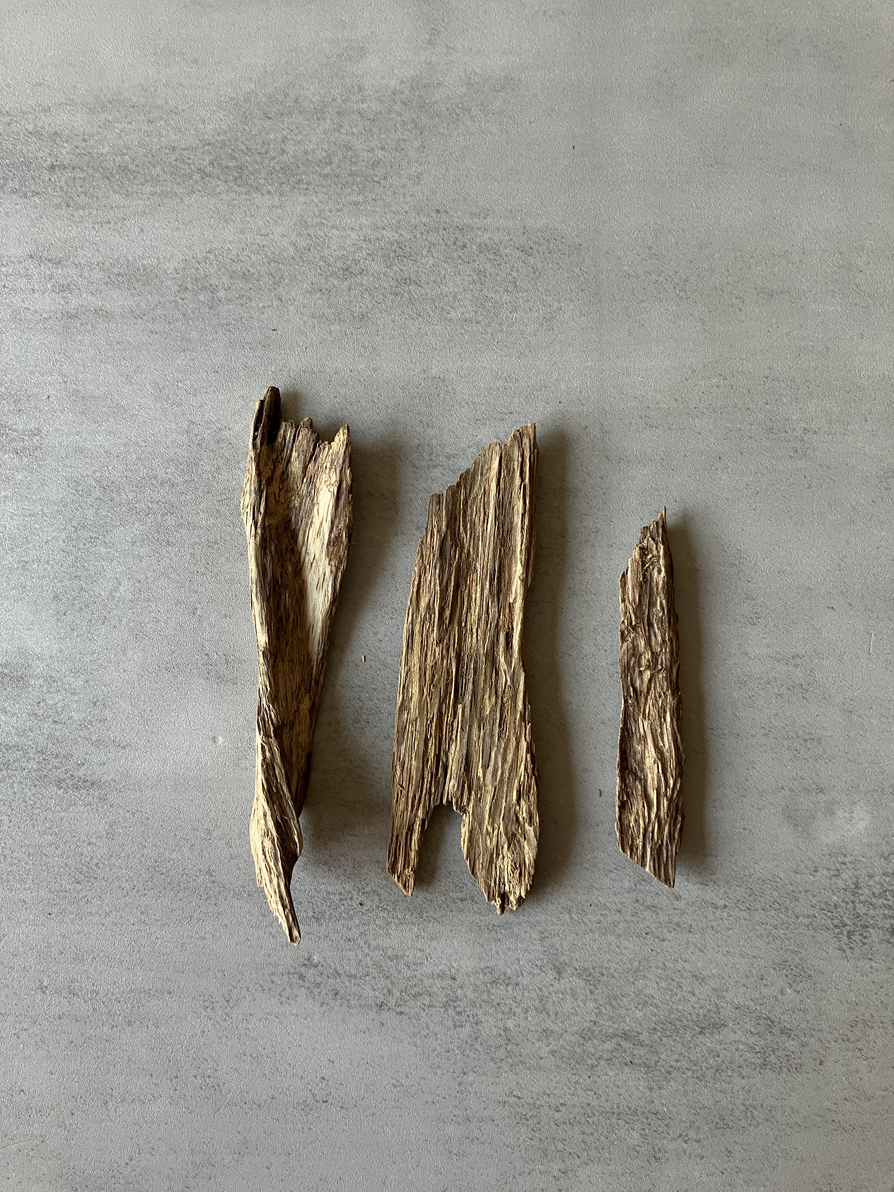 image_53C9E31D-FD6F-4DB9-B171-9C364688D84B_1774505685