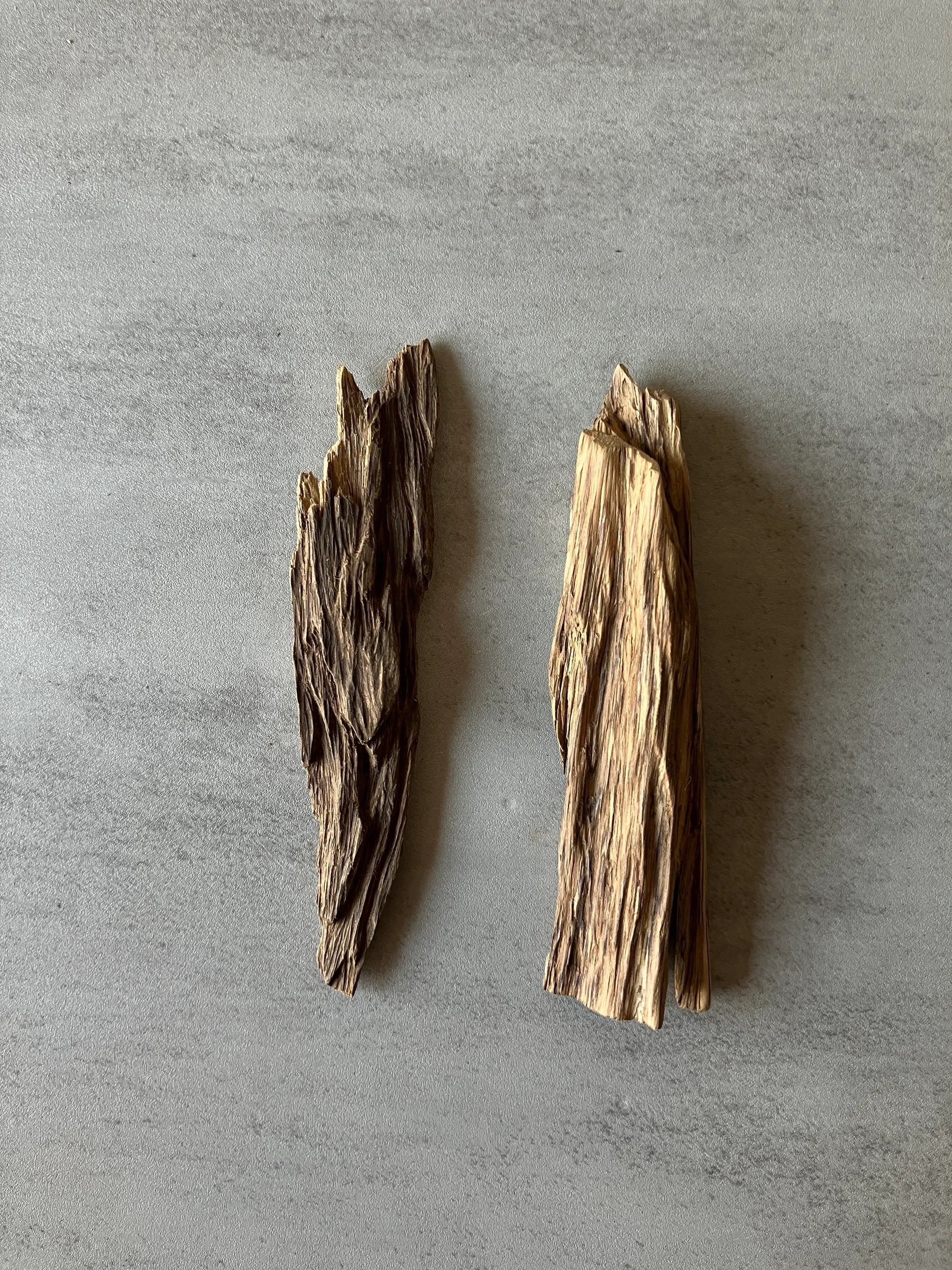 image_C55378BA-610A-48D1-BCC0-F8E972D30F63_1774505775