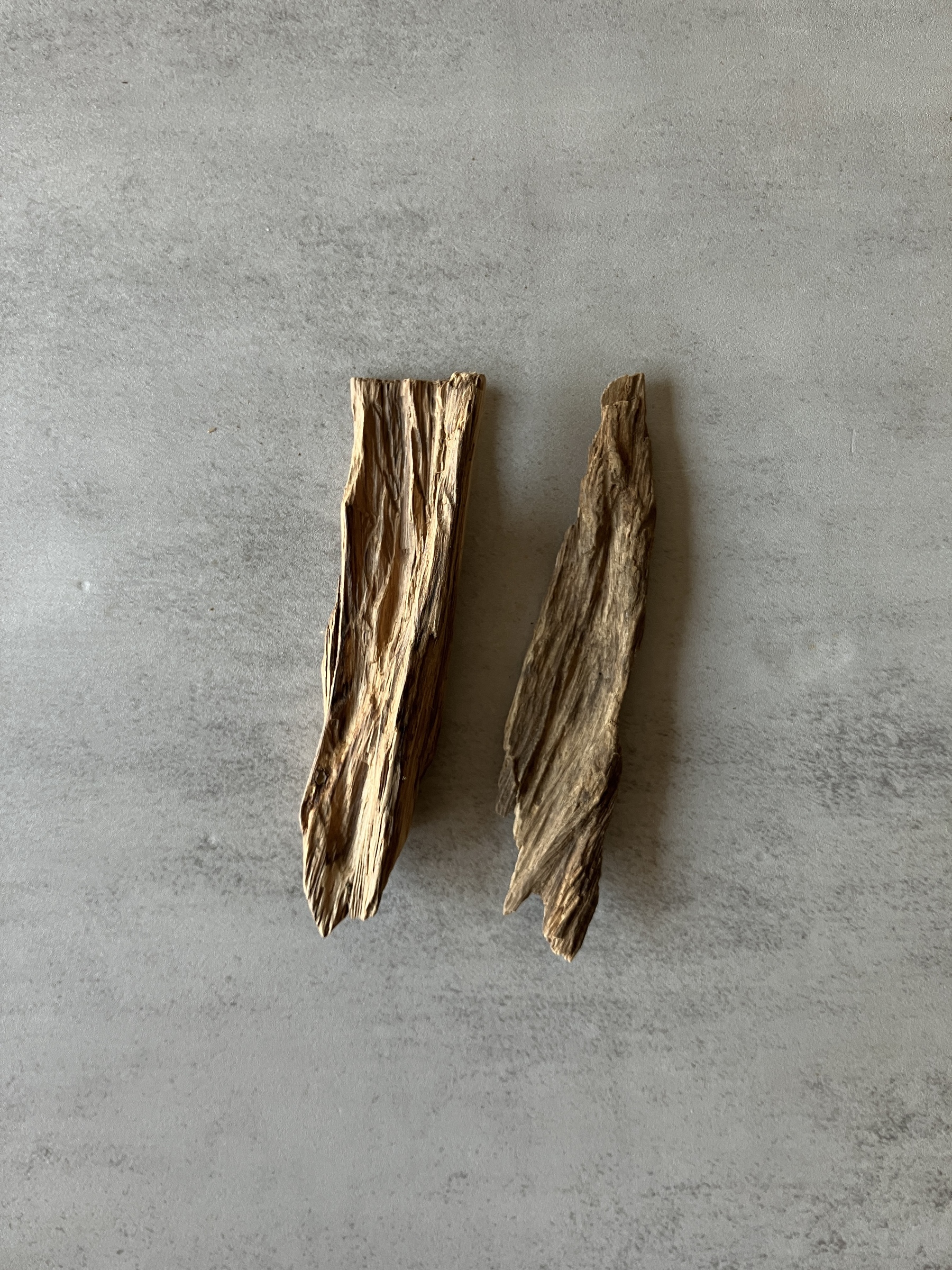 image_9903CBB7-1E04-44FD-A4AF-1D59323C5B13_1774505775