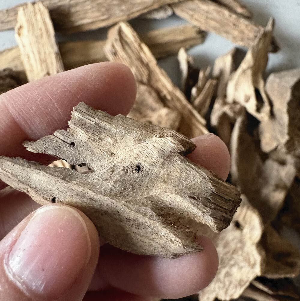 小料中階加里曼丹-04