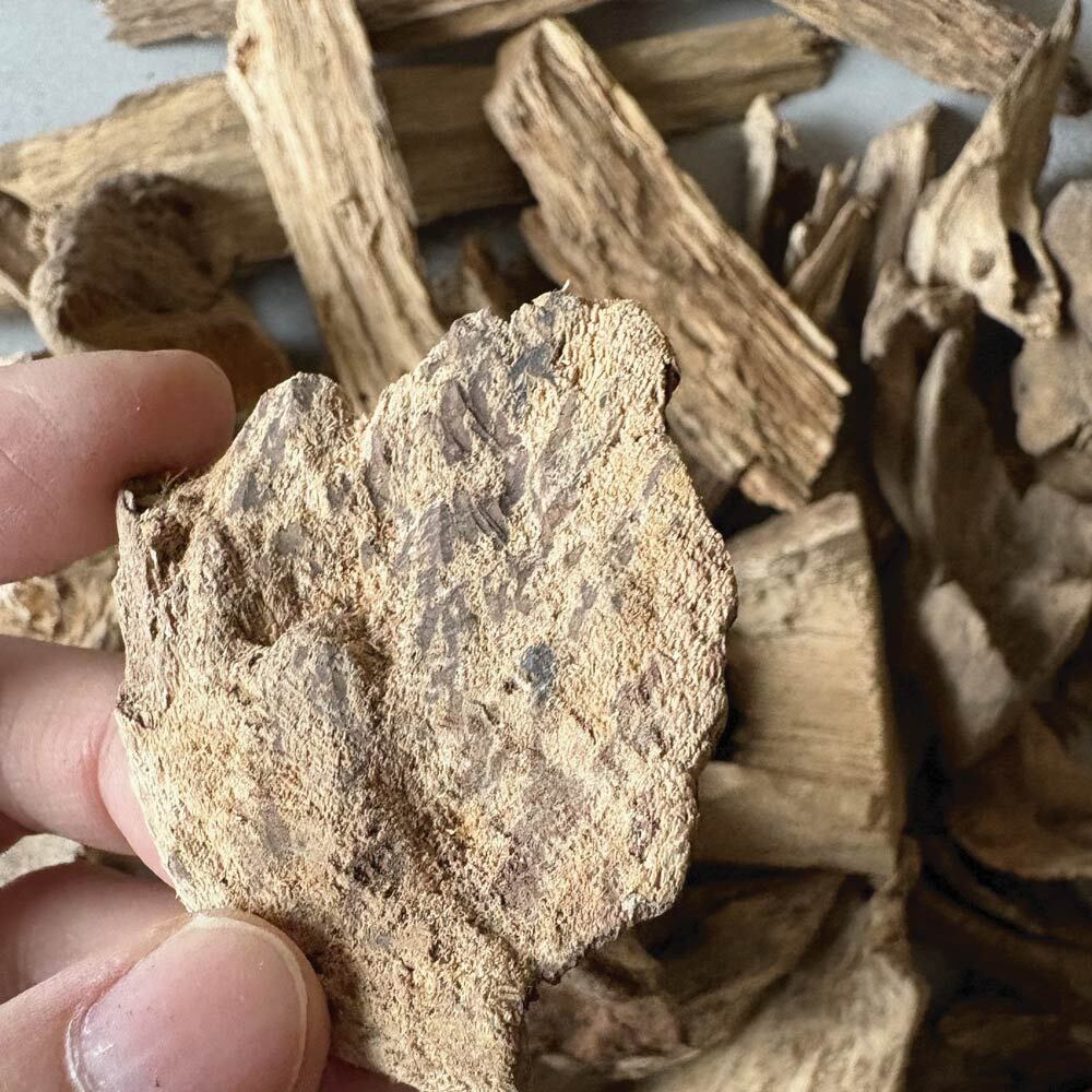 小料中階加里曼丹-03