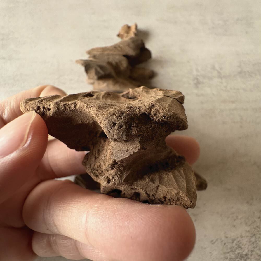 板頭重油加里曼丹-03